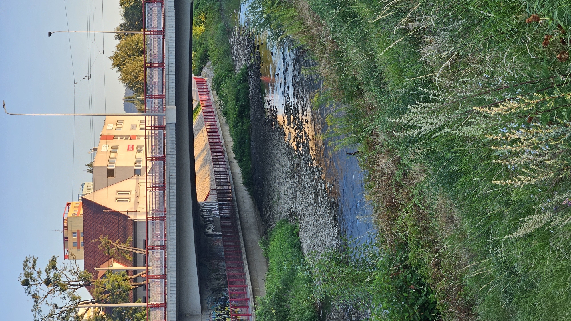 This is a photograph of a small river with a concrete bridge overhead, located in the city of Prešov, Slovakia. The riverbed is rocky and shallow, with a narrow channel of water flowing through it. The banks of the river are covered in lush green grass and vegetation. The bridge is made of concrete and has a red metal railing. Graffiti is visible on the underside of the bridge. In the background, there are several buildings, including a multi-story apartment building with a red roof and a cream-colored building with a red and white striped facade. The sky is clear and blue, and the sun is setting, casting a warm glow on the scene. The overall impression is one of an urban landscape encroaching on a natural environment.