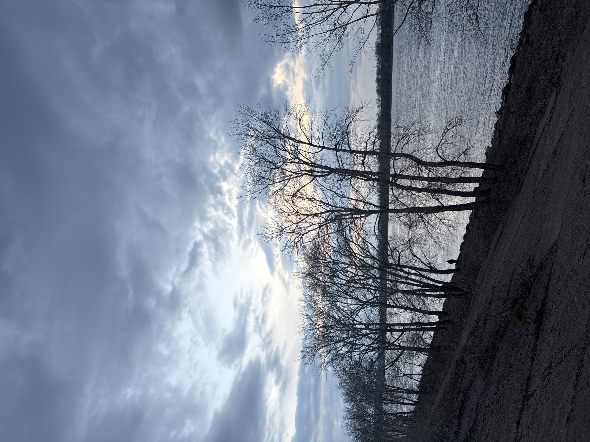 The image, when viewed in its correct orientation, captures a serene natural landscape featuring a wide body of water, a shoreline, and numerous bare trees under a cloudy sky. The composition is split diagonally by the line of trees and the bank.
On the right side of the image, a large expanse of water, likely a river or a reservoir, stretches into the distance. Its surface is textured with small ripples, indicating a slight breeze. A dark, distant shoreline is visible across the water, creating a subtle horizon.
On the left, a dark, earthy bank or path runs along the water's edge. A dense line of deciduous trees, stripped of their leaves, stands prominently along this bank. Their intricate, silhouetted branches are starkly visible against the lighter sky and water, suggesting the season is late autumn, winter, or early spring.
The sky, dominating the upper left portion of the image, is heavily overcast. It displays a gradient of gray clouds, with darker, denser formations contrasting with brighter patches where sunlight appears to be breaking through or is obscured by thinner cloud layers. This variation in light creates a somewhat dramatic and tranquil atmosphere.
There are no people, animals, or specific activities visible in the scene. No discernible text is present. The scene evokes a sense of quietude, typical of a natural waterfront setting on a cloudy day, consistent with a location such as Chaikovsky, Russia, which is situated near the Kama River.