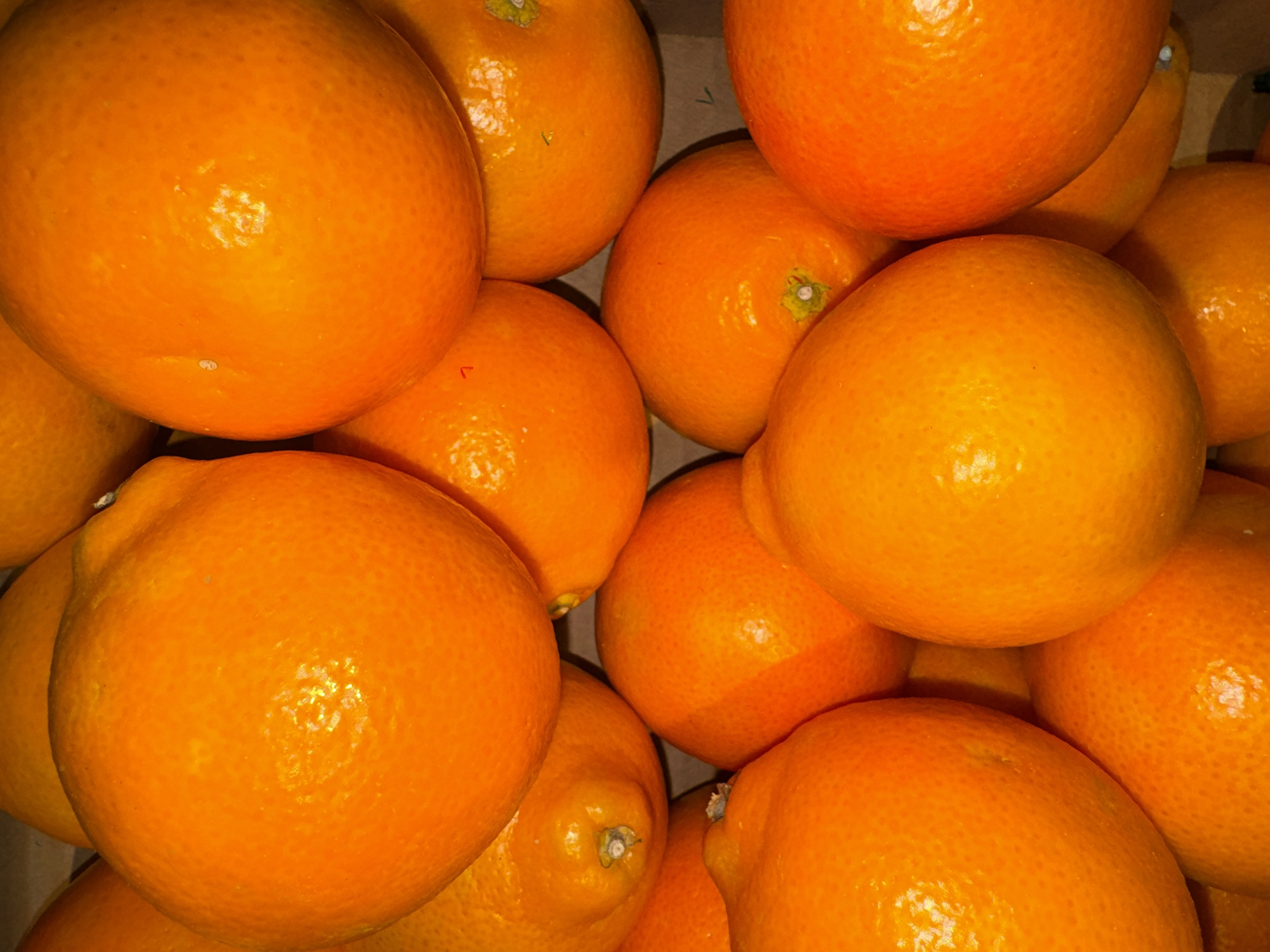 The image shows a close-up, overhead view of a pile of bright orange tangerines, possibly in a crate. The tangerines are round and have the characteristic dimpled texture of their peel. Some have small brown stems or remnants of them visible. The lighting is warm and slightly harsh, creating highlights and shadows that emphasize the fruit's shape and texture. The background is dark and out of focus, suggesting the tangerines are the sole subject. There are no people, animals, or other objects visible. The scene is a still life of fruit. No location in Vilvoorde, Belgium is discernible from the image.