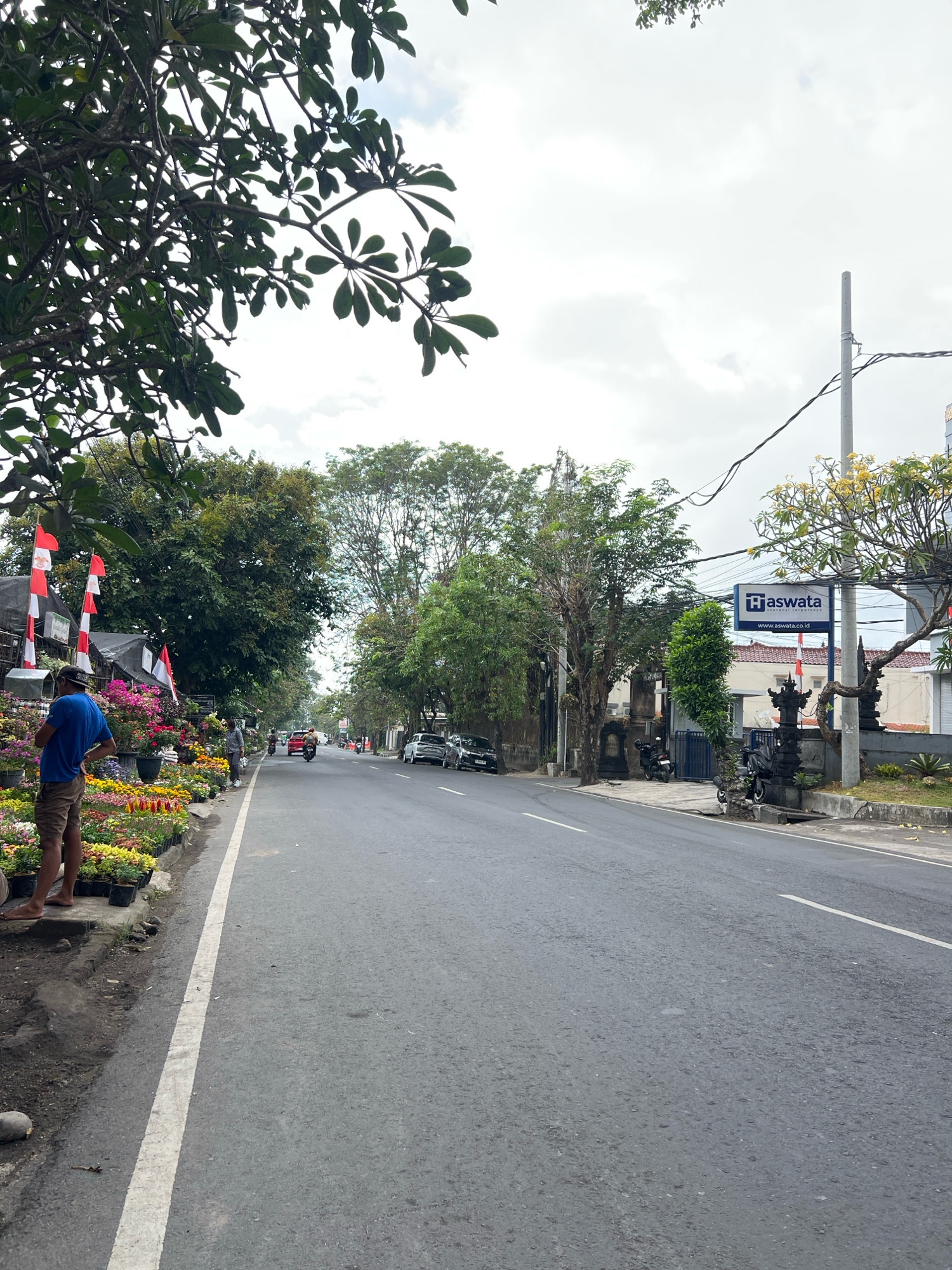 A street scene in Denpasar, Indonesia, features a road lined with businesses and vegetation. On the left side of the road, a man wearing a blue t-shirt and brown shorts stands near a vibrant display of potted flowers, including red, pink, yellow, and white varieties. Several Indonesian flags are also visible, attached to poles and structures behind the flower stall. The road itself is paved and has a white lane marker. Several vehicles, including cars, motorcycles, and a scooter, are present on the road, moving in the distance. On the right side of the road, a sign for "Haswata" with the website "www.aswata.co.id" is mounted on a pole. Other structures, including buildings with red-tiled roofs and traditional Balinese architectural elements like ornate stone carvings, are visible. Trees with dense green foliage line the street, and the sky is overcast with clouds. The overall environment appears to be a commercial area with a mix of natural and urban elements.