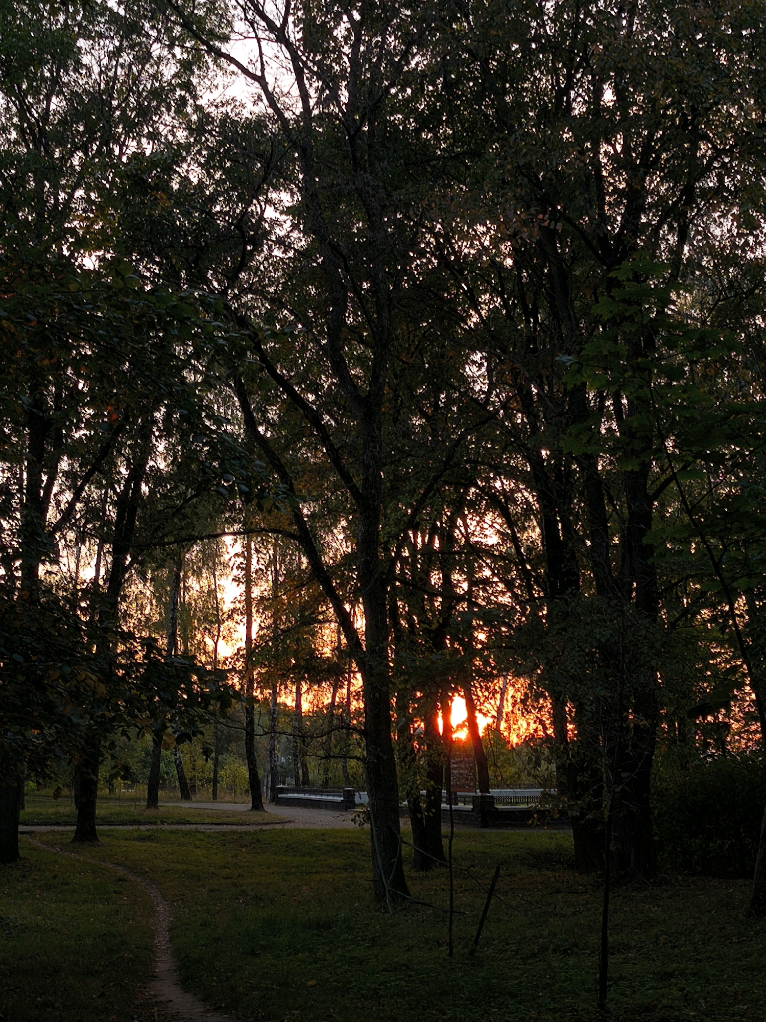 The image depicts a park scene at sunset, likely in Mahilyow, Belarus, given the characteristic birch and mixed deciduous trees commonly found in the region. The sun is setting, casting a warm, orange glow through the dense foliage of mature trees that dominate the foreground and midground. The light filters through the leaves, creating dappled patterns on the grassy ground and a winding dirt path that curves from the lower left towards the center of the image.
In the background, beyond a cluster of trees, a low stone wall or railing can be seen, possibly part of a garden bed or walkway. The sky behind the trees is a soft pink and orange, indicating the last moments of daylight. The overall atmosphere is serene and natural, with a clear absence of human activity. The shadows are long and deep, suggesting the late hour. The trees are in full leaf, though hints of autumnal color might be present on some of the foliage, suggesting it is either late summer or early autumn. The scene is tranquil and untouched, showcasing the natural beauty of a park setting.