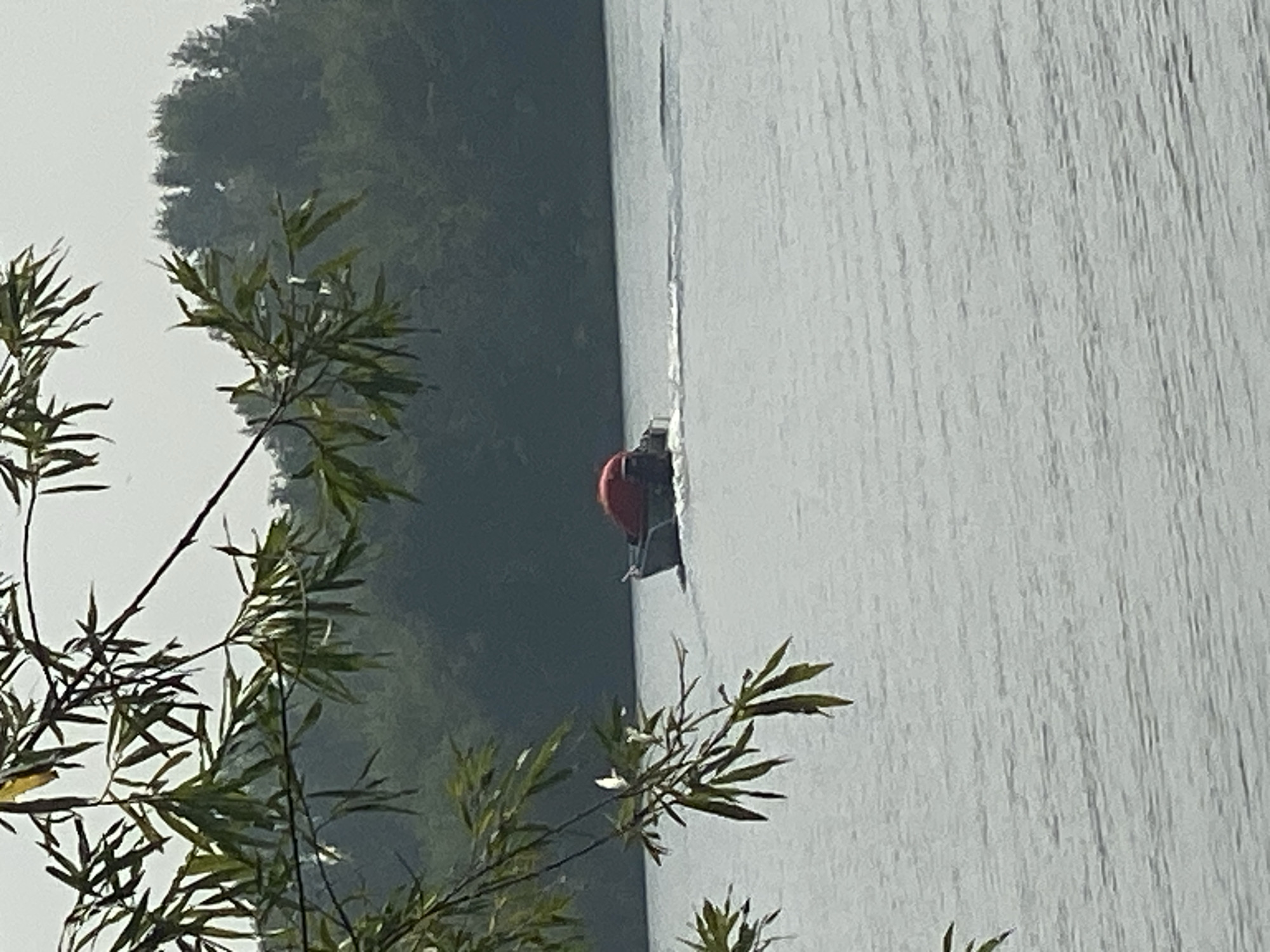A small boat with an orange object in it is moving across a body of water, leaving a wake. The boat is dark in color and appears to be made of metal. Trees line the distant shore. Branches with green leaves are in the foreground, partially obscuring the view. The water is calm with a slight ripple. The sky is overcast. This scene is likely located on a river or lake within the city of Novokuznetsk, Russia.