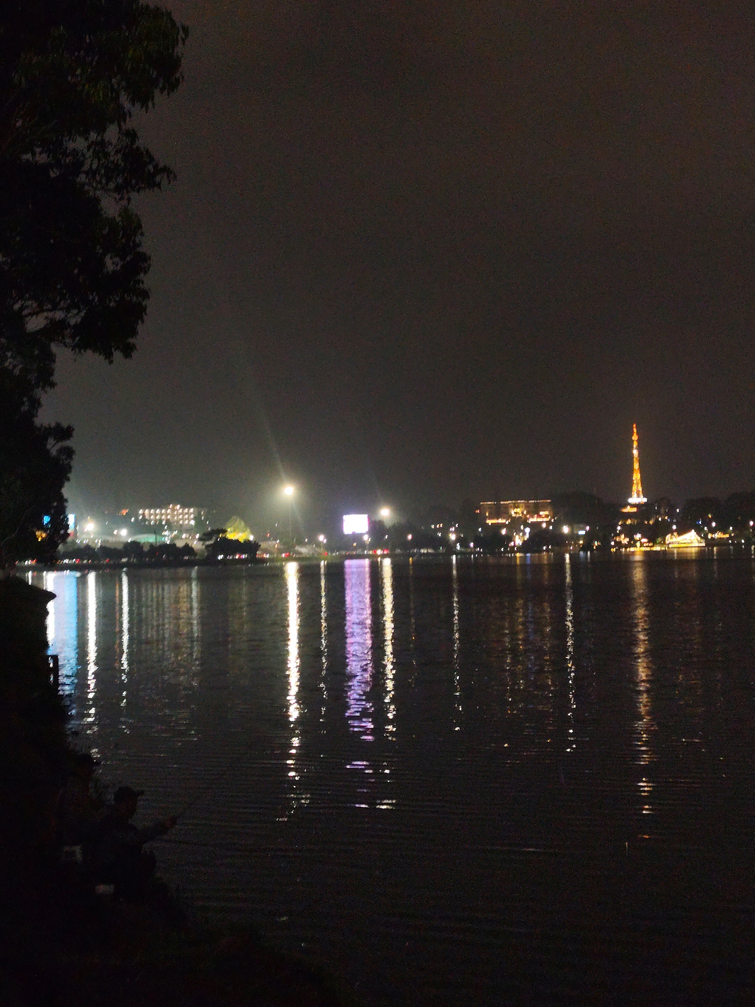 The image depicts a night scene at Xuan Huong Lake in Da Lat, Vietnam. A dark tree occupies the left foreground. The lake is reflective, showing illuminated buildings, including a tower and another large structure on the opposite shore, with corresponding light trails in the water. In the lower left corner, a person is sitting near the shore, seemingly fishing, holding a fishing rod. The sky is dark and overcast. The city lights cast a soft glow on the horizon.