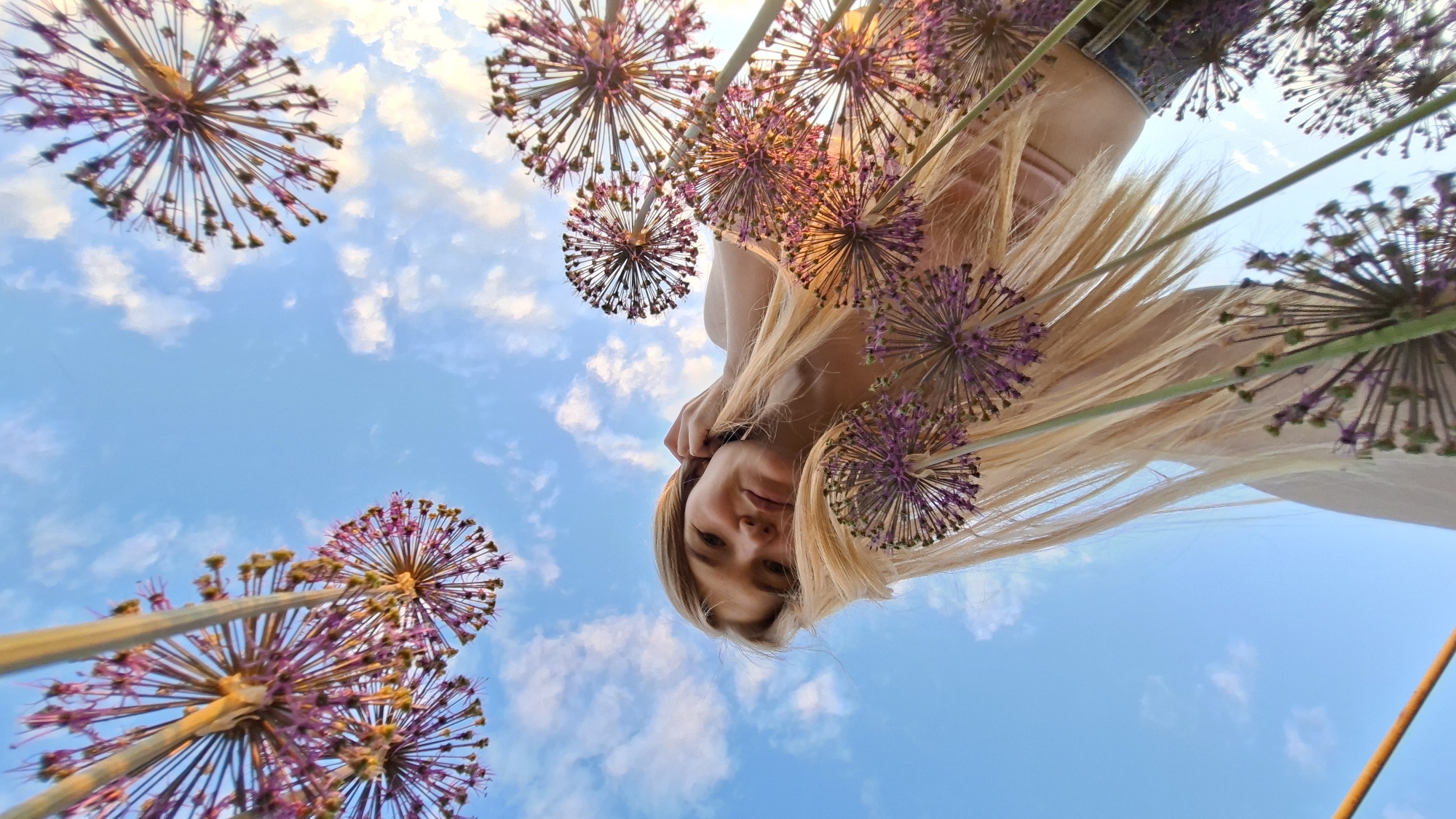An unusual, low-angle photograph captures a young woman and several allium flowers set against a bright blue sky with scattered white clouds. The perspective is from directly below, looking upwards, causing the woman and the flowers to appear inverted in the frame.
The primary subject is a young woman with long, flowing blonde hair, whose face is visible at the center, looking downwards towards the camera with a neutral, slightly serene expression. Her hair surrounds her head, blending with the surrounding elements. Encircling and intermingling with her hair are numerous allium flowers, characterized by their distinctive spherical, spiky purple heads atop long stems. The sunlight illuminates the flowers, giving them a warm glow.
The scene is outdoors during daylight hours, under a clear sky. The lighting is bright and even, suggesting either a sunny day with soft light or a slightly overcast sky. While no specific location cues are visible within the image, the context places the scene in Большой Букор, Russia. There is no visible text in the image. The unique perspective creates a whimsical and artistic composition.