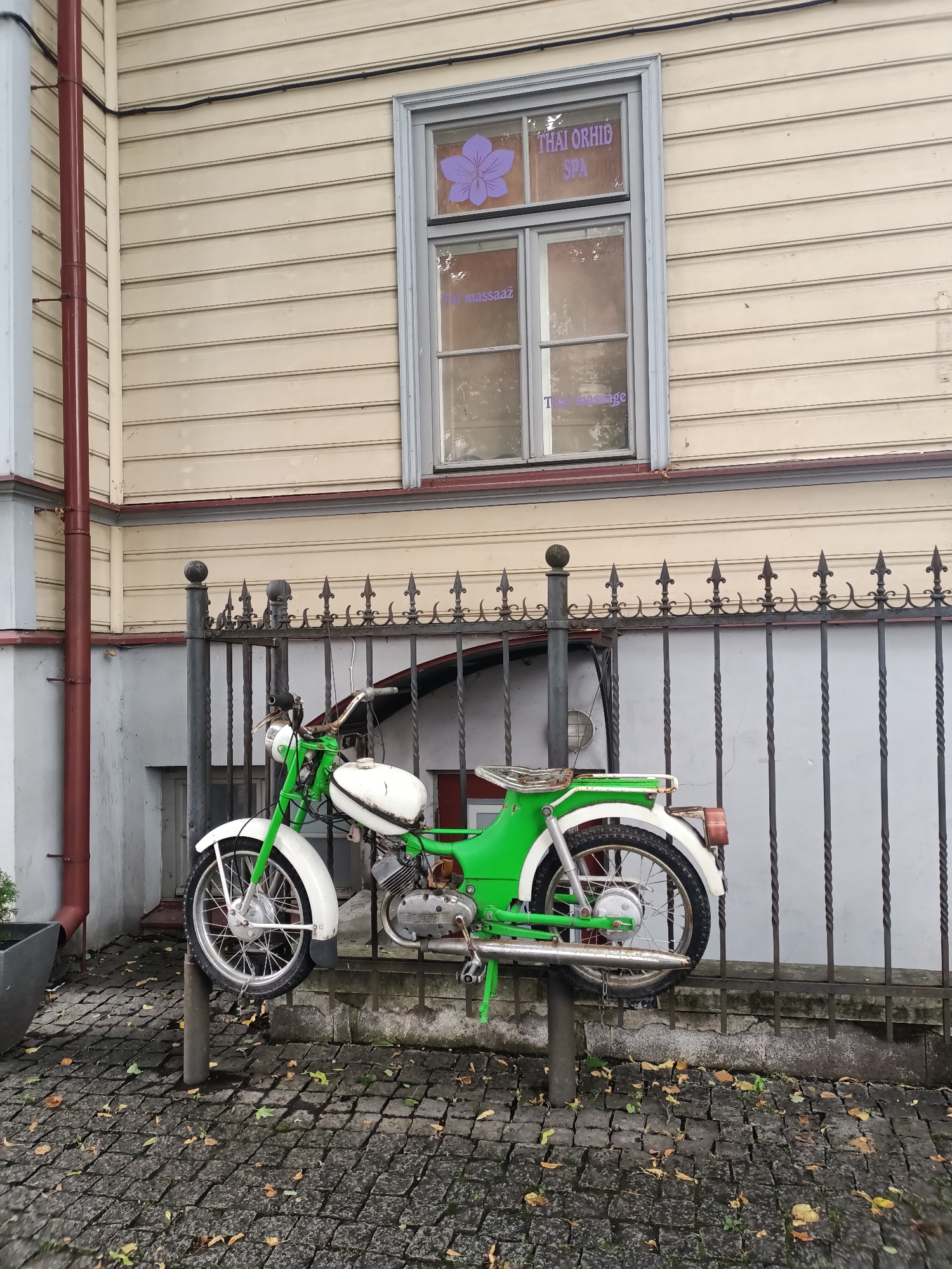 An outdoor, medium-shot photograph taken at street level shows a vintage green and white moped parked on a decorative black metal fence in Tallinn, Estonia. The moped is positioned horizontally across the fence, with its wheels resting on upright poles extending from the ground. The moped has a white fuel tank and a white front fender, with a green frame and rear fender. A single headlight is visible on the front.
Behind the fence, the facade of a building is visible. The building is clad in horizontal, pale yellow wooden siding. A window with a light blue frame is set into the siding. Within the window, a purple decal of a stylized flower is visible, along with purple text that reads "THAI ORCHID SPA" and "massaaž" which is Estonian for massage. Below the window, the siding is painted a dark reddish-brown.
To the left of the building facade, a dark red downspout runs vertically along a light grey section of the building. The ground in the foreground is paved with dark grey cobblestones, with scattered dry autumn leaves. The overall lighting suggests an overcast day. No people are present in the frame.