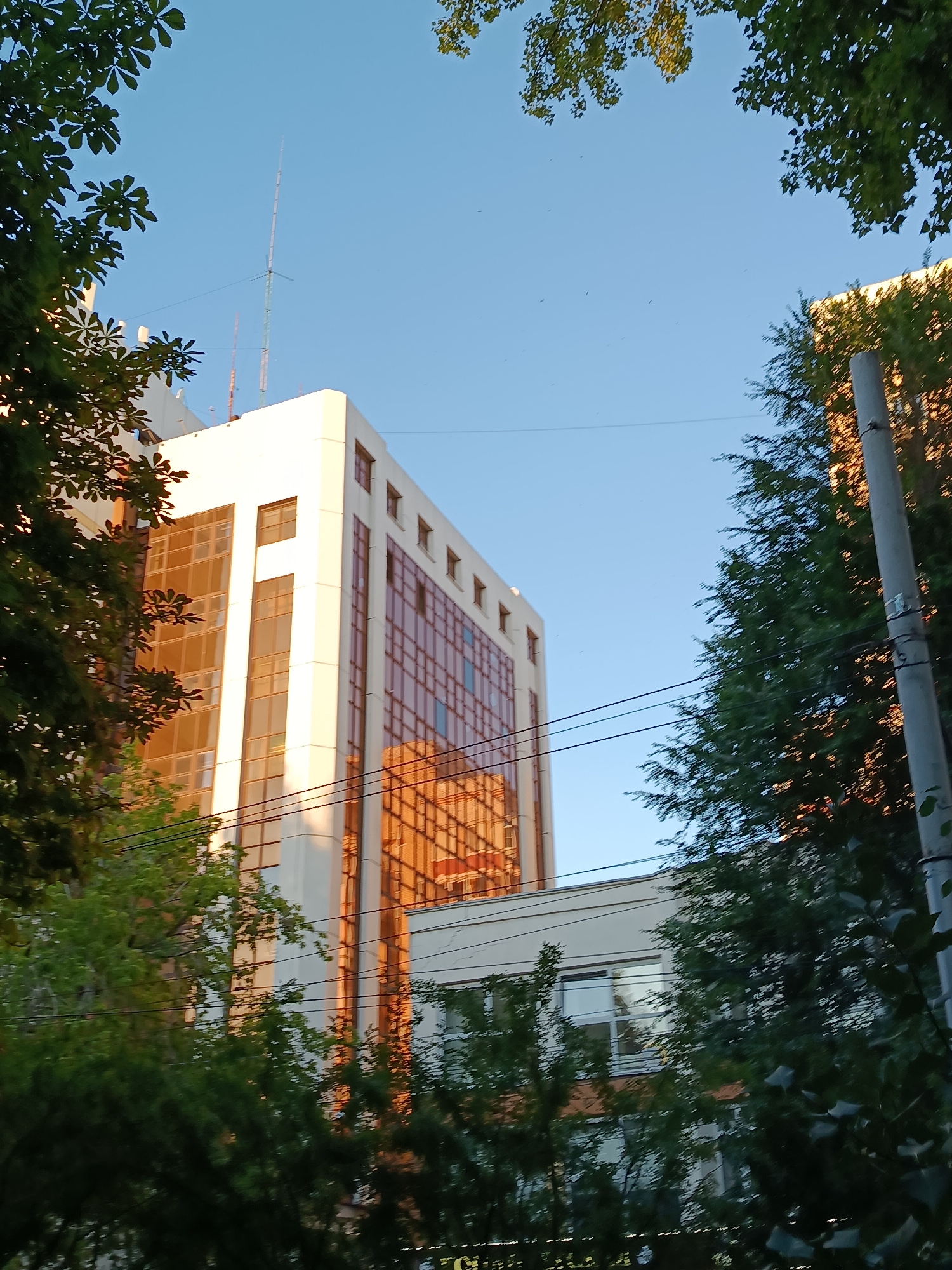 The image shows a low-angle view of a tall, modern office building with a white facade and tinted windows, reflecting the warm glow of the sun. The building is partially obscured by lush green trees framing the scene, creating a natural border. The sky above is a clear, bright blue. In the foreground, power lines crisscross the frame, and a grey utility pole with wires is visible on the right. The overall impression is one of urban development juxtaposed with abundant greenery, suggesting a well-maintained cityscape. The scene is likely from the city of Saratov, Russia, as indicated by the provided context, implying a typical urban environment within that region.