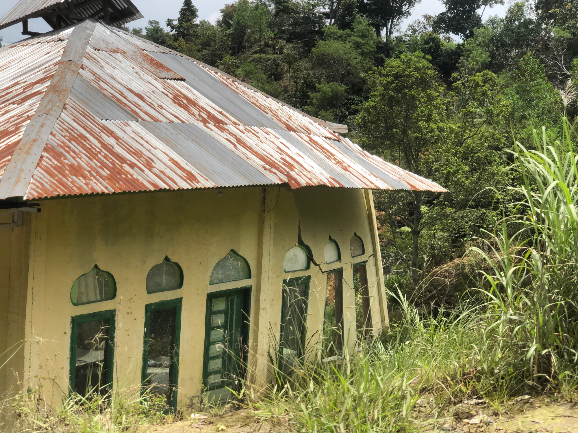 An abandoned, light yellow building with a rusted corrugated metal roof stands on a hillside in Bintangpermata, Indonesia. The building has a multi-sided, possibly octagonal, structure with arched windows and green-framed doors. Some of the windows are broken, and there are visible cracks in the building's facade. Tall, green grass and reeds grow around the base of the structure, partially obscuring it. The background is dominated by dense, lush green trees, indicating a natural, undeveloped environment. The sky above is overcast. There are no people or animals visible in the image.
