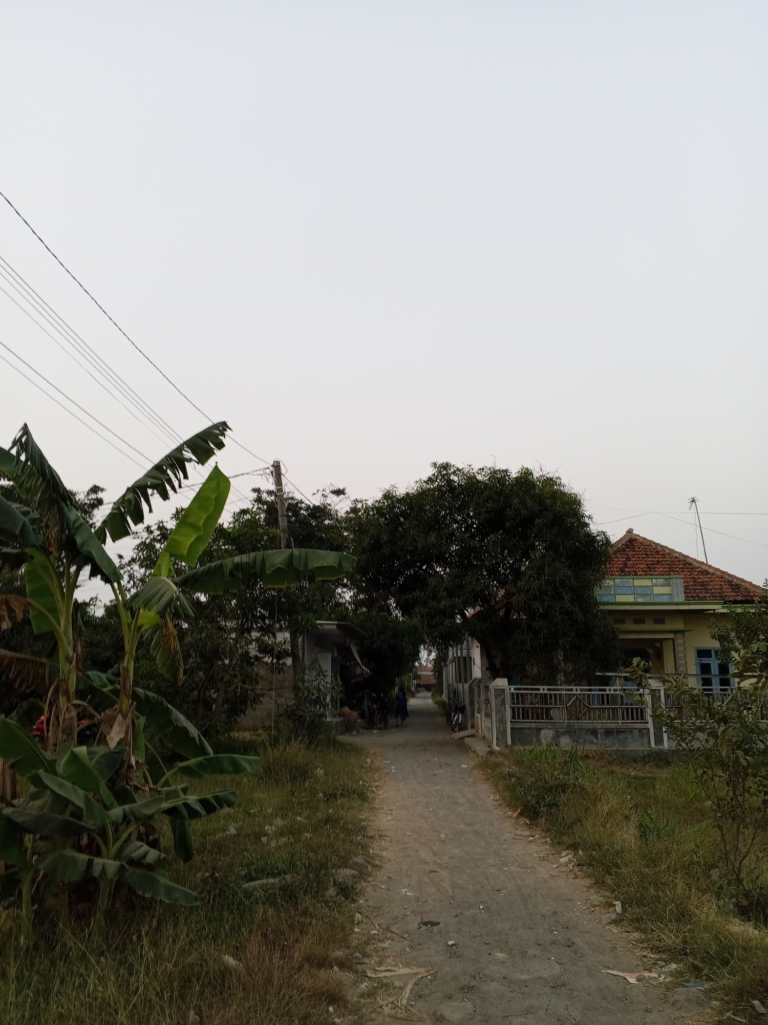 The image depicts a rural road in Gebang, Indonesia, under an overcast sky. A dirt path runs through the center of the frame, flanked by vegetation and structures. On the left, banana trees with large, tattered leaves are prominent. To the right, a house with a red tile roof and yellow walls is visible, featuring blue windows and a decorative fence. Trees and other foliage create a dense backdrop. Electrical wires stretch across the upper portion of the image. The scene appears quiet and sparsely populated.