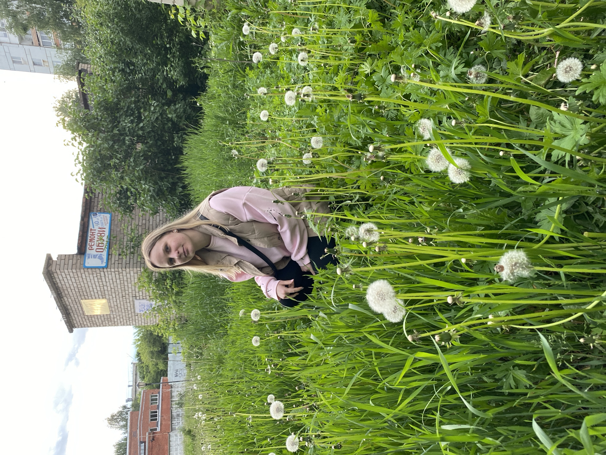 An outdoor, eye-level photograph features a young adult female squatting amidst a dense field of tall green grass and numerous mature white dandelion seed heads. She is positioned slightly right of the frame's center, looking directly at the camera with a neutral expression. She has straight, light-colored, shoulder-length hair. She is wearing a pink long-sleeved top, a light beige sleeveless puffer vest, black pants, and a black cross-body bag with the strap across her chest. Her left hand rests on her left knee.
The background reveals an urban-fringe environment in the city of Unknown, Unknown. To the mid-left, a low, red-brick building with several windows is partially visible behind some green foliage. In the central background, a prominent rectangular two-story building constructed of light-colored bricks features a flat roof. A blue and white sign on its right side displays "РЕМОНТ ОБУВИ" (SHOES REPAIR), and a smaller, faded sign is below it. A rectangular, reflective golden panel is mounted on the front facade of this brick building. To the far right in the background, a multi-story, light-colored (possibly grey or blue) residential building with balconies and numerous windows is visible above a line of trees. Various green trees and bushes are scattered throughout the mid-ground and background, indicating an unmaintained or wild green space. A streetlamp is visible to the left of the central brick building. The sky is overcast with a uniform light grey cloud cover.