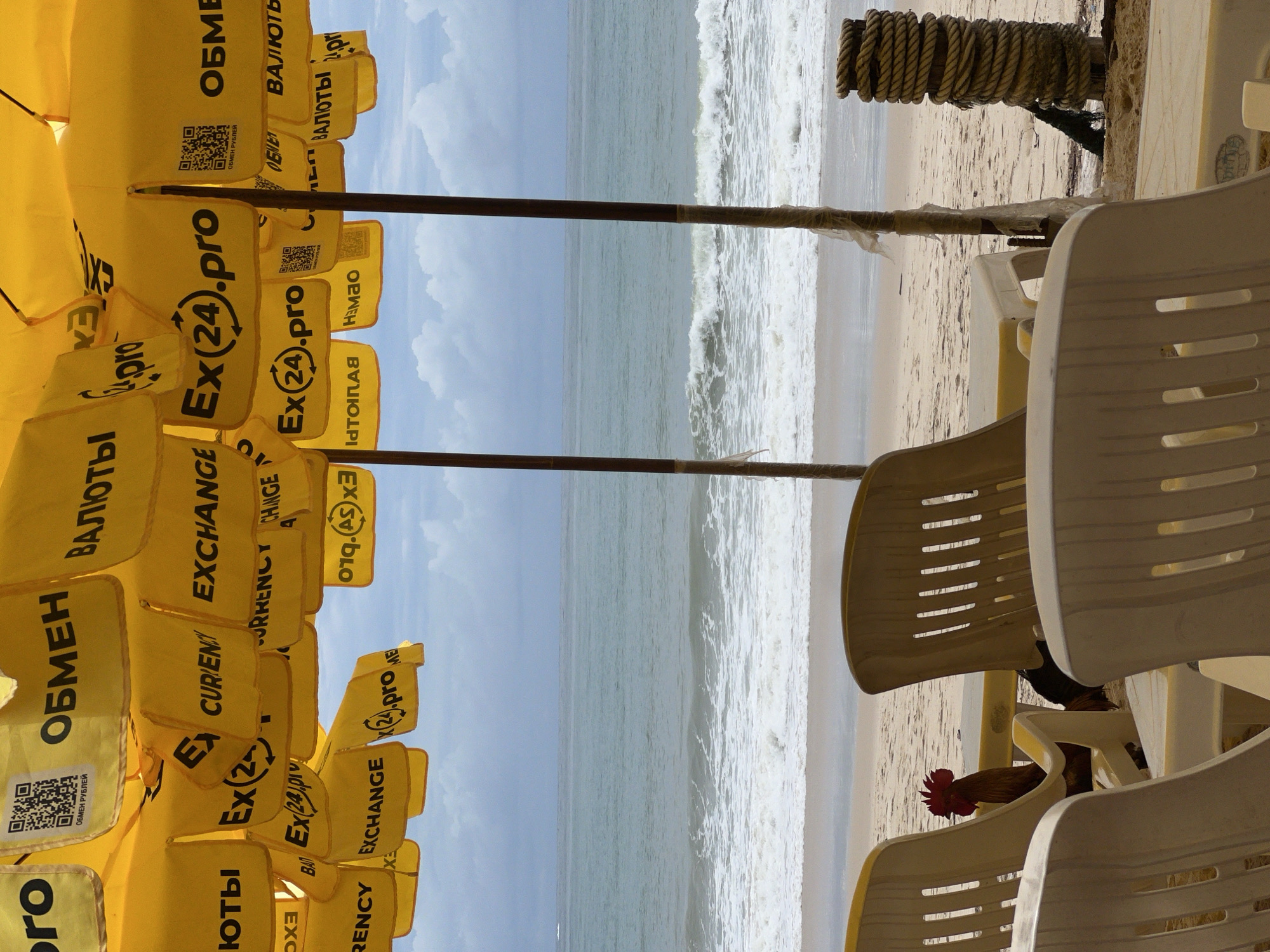 The image shows a beach scene under yellow sun umbrellas with the text "Ex(24).pro EXCHANGE" and other currency exchange-related words in various languages. The umbrellas are supported by dark brown poles. In the background is the ocean with waves. To the right, there are stacks of white plastic chairs, and a rooster's head is visible between the chairs. A coil of rope sits near a chair post.