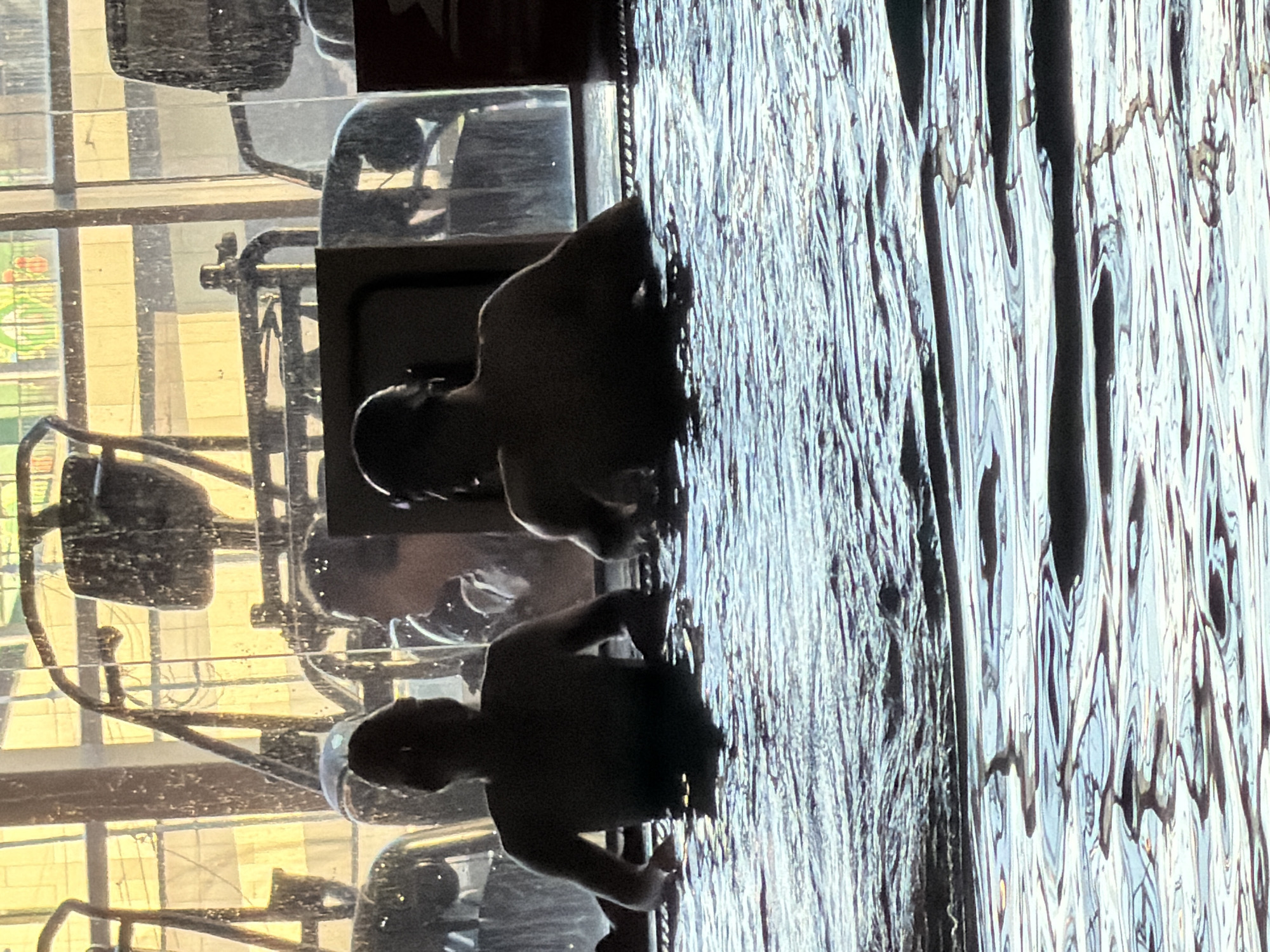 The image captures two individuals partially submerged in water, their torsos and heads visible above the surface. The person on the left is silhouetted, facing away from the camera, with their arms resting on the edge of the water. The person on the right is also silhouetted, facing to the left, and appears to be wearing headphones. The water is choppy, reflecting the light and creating patterns of dark and light. In the background, gym equipment, including exercise machines with metal frames, is visible. The scene is illuminated by natural light, suggesting it may be daytime. The presence of gym equipment and the pool-like setting suggests a fitness or recreation facility. The image does not contain any explicit indicators of its location in Kyiv, Ukraine.