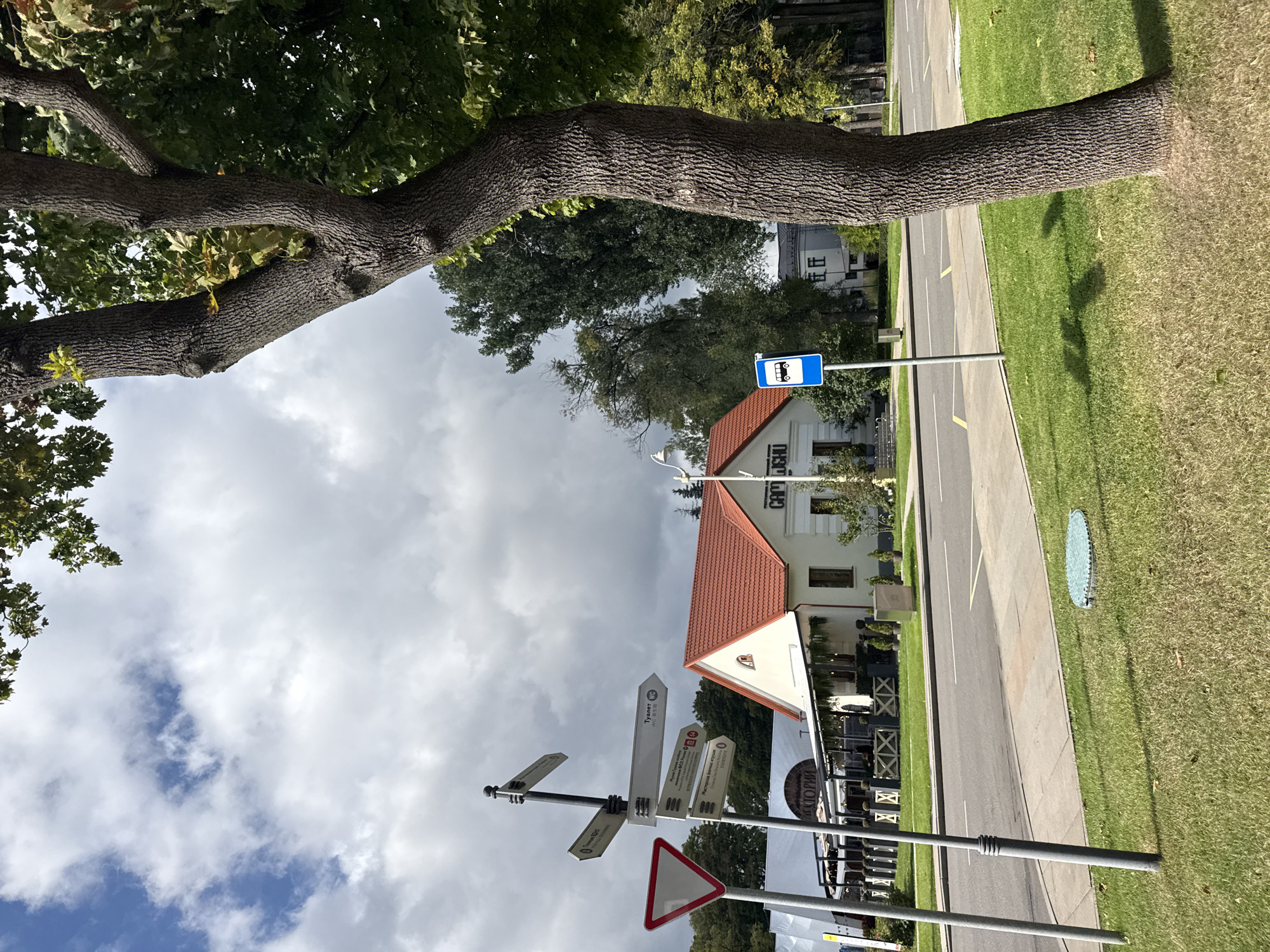 The image depicts an outdoor scene in Moscow, Russia. In the foreground, a large tree with textured bark stands to the right, casting a shadow on the green grass. A paved road runs across the mid-ground, bordered by a sidewalk and more grass. To the left of the road, a signpost with multiple directional signs points in various directions. One sign indicates "Туалет WC" (Toilet WC). A yield sign is also visible on the left. In the background, a building with a red-tiled roof and white walls is situated. A bus stop sign is present near the road. The sky above is partly cloudy, with a mix of blue sky and white clouds. The overall impression is that of a street-side view in a developed urban area.