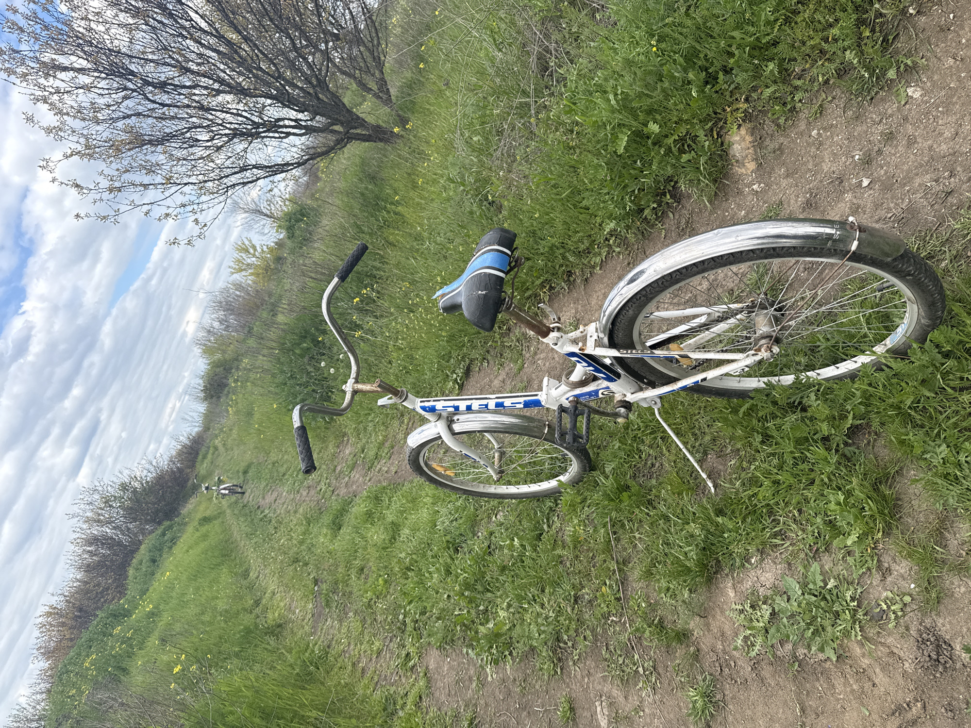 A white and blue bicycle with the word "STELS" written on the frame rests on a dirt path covered in grass in Taganrog, Russia. The bicycle is positioned at an angle, with the rear wheel partially on the dirt path and partially in the grass. A bare tree and lush greenery are in the background, with a cloudy sky above. The path curves slightly into the distance.