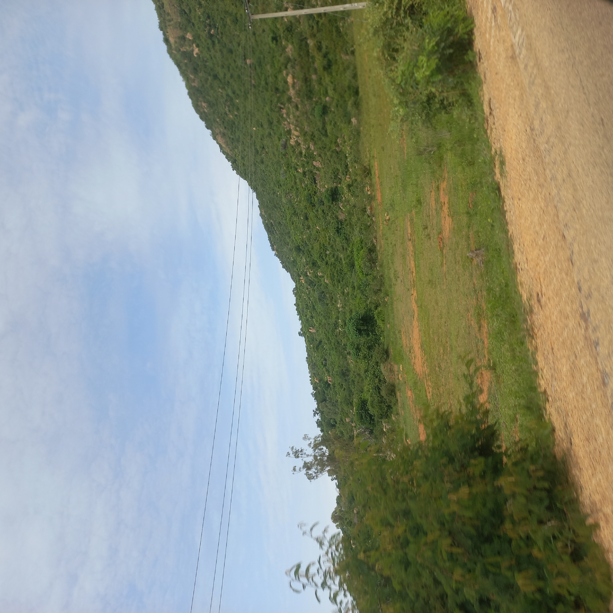 The image depicts a natural landscape with a prominent green hill covered in vegetation and rocks under a partly cloudy sky. The foreground shows a dirt road or path with some scattered green plants and bushes. Several dark power lines stretch across the upper portion of the image. There are no people visible in the scene. The environment appears to be rural or undeveloped, possibly on the outskirts of a settlement. This scene is located in the city of Dorowa, Nigeria.