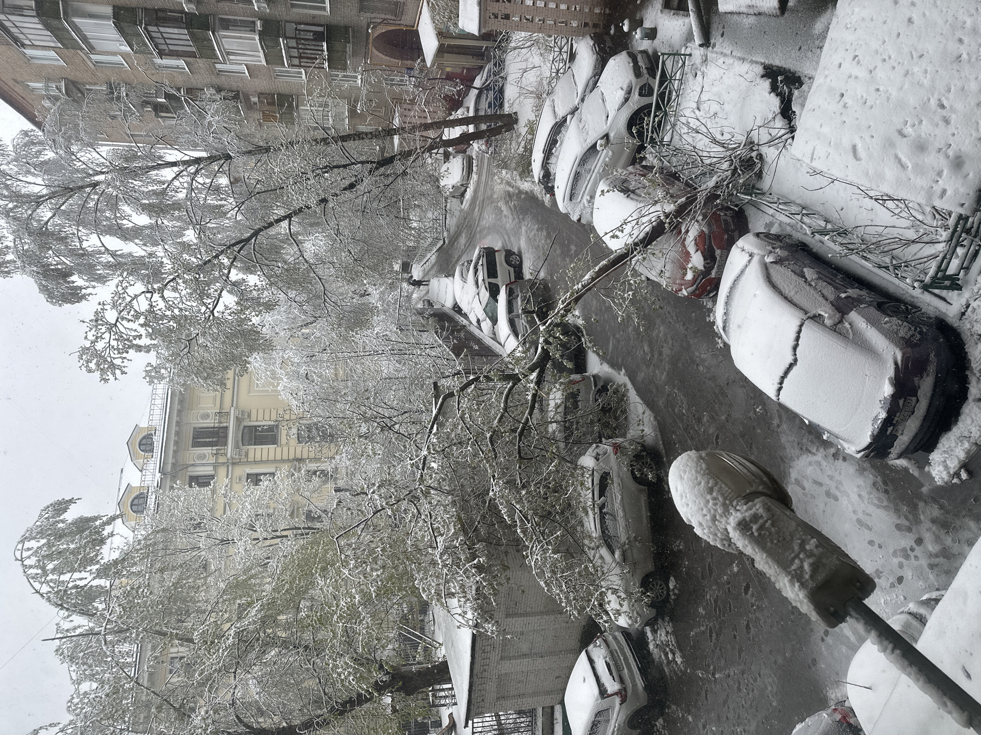 The image depicts a street scene in Moscow, Russia, during a heavy snowfall. The view is taken from an elevated position, likely a window or balcony. Several parked cars line the street, covered in thick layers of snow. Trees along the street are also heavily coated with snow, their branches drooping under the weight. A street lamp in the foreground is also covered in snow. The road surface is visible, showing some slush and footprints. Buildings can be seen on either side of the street, their architectural details partially obscured by the snowfall. The overall atmosphere suggests a cold, winter day in the city. There are no people visible in the image.