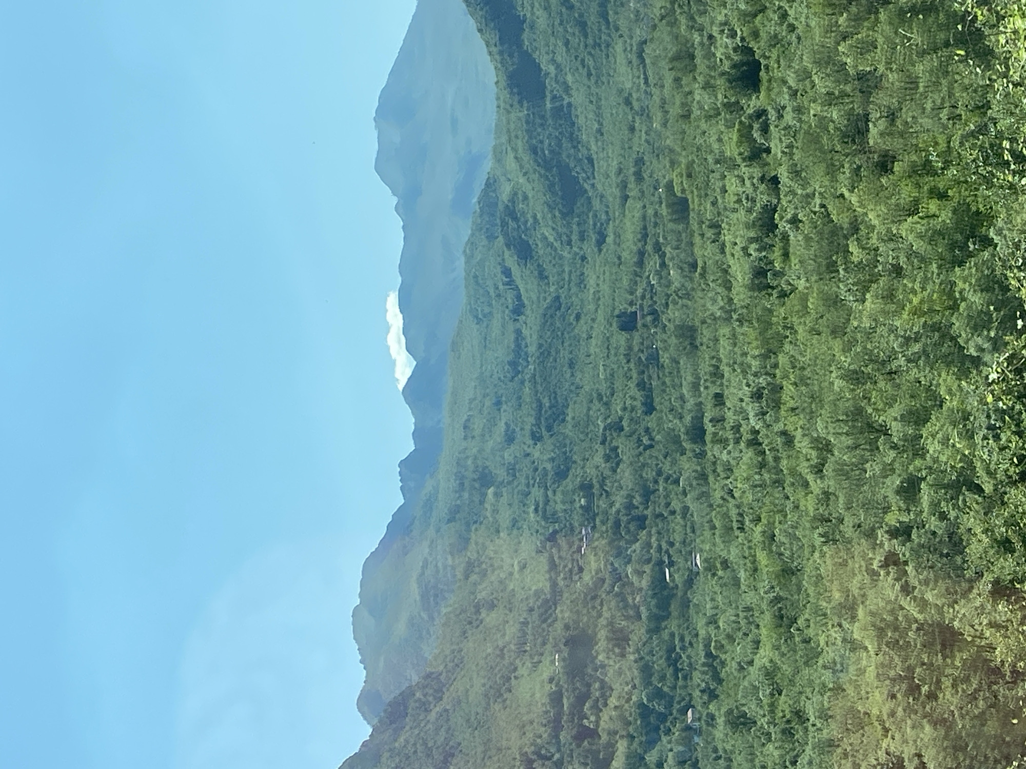 The image shows a mountain range covered in dense green vegetation. The sky is blue and clear. Sotonići, Montenegro, is not visible in the frame, but the landscape suggests a mountainous, possibly rural, environment. There are no people, distinct subjects, objects, actions, or interactions visible in the image.