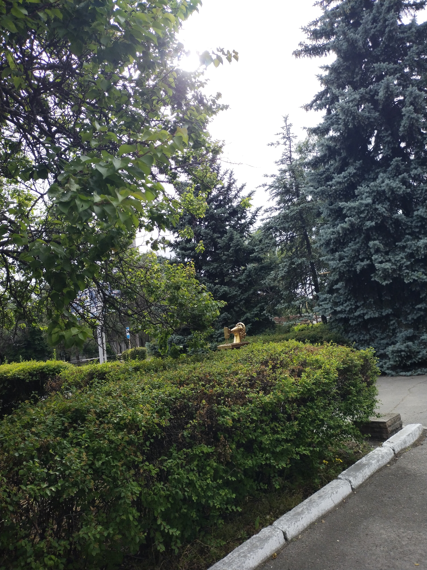 A full, ground-level outdoor shot shows a manicured hedge in the foreground and a sidewalk curving to the right. Beyond the hedge, a golden, antique sewing machine sculpture stands on a stone base, flanked by large, blue spruce trees and other various green foliage. The sky is overcast, and the sun is faintly visible through the leaves of a deciduous tree in the upper left corner. The scene is located in the city of Horishni Plavni, Ukraine.