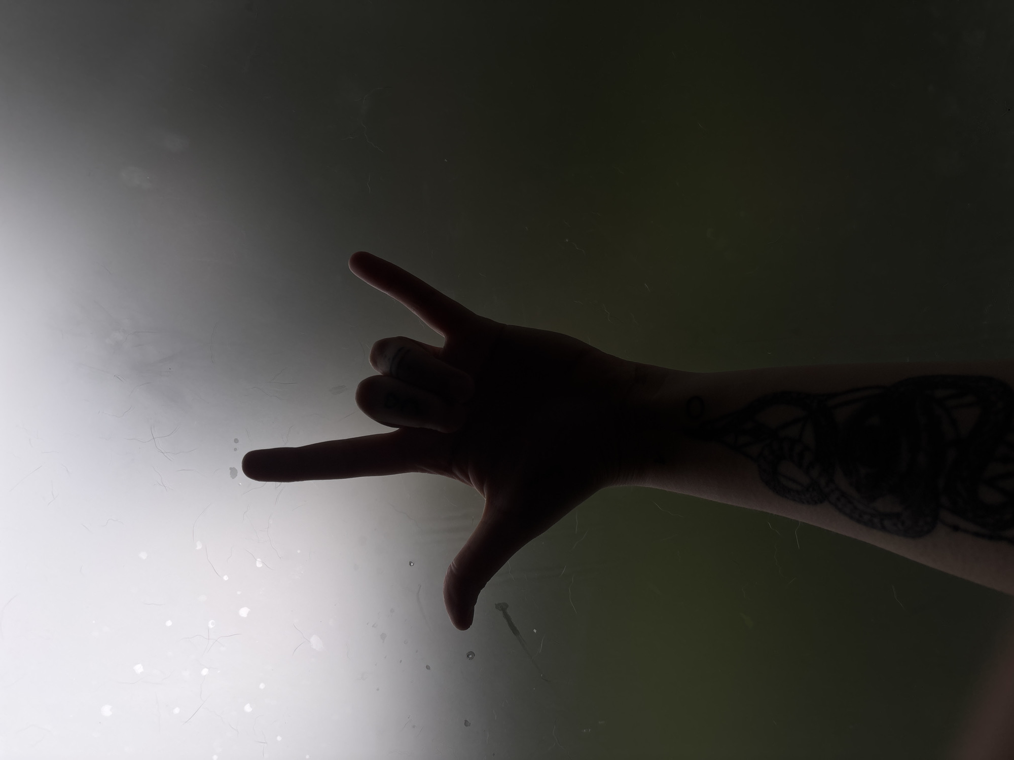 The image shows a silhouette of a left arm and hand against a bright, textured background, possibly a window or frosted glass. The hand is forming the "rock on" gesture, with the thumb and index and pinky fingers extended. There is a tattoo of a snake on the forearm. The background is bright at the top and darkens towards the bottom, with some blurry green visible, suggesting an outdoor environment. There are small white spots and dark lines scattered across the surface, which could be dust, water droplets, or imperfections in the glass. The overall lighting creates a dramatic, silhouetted effect. The image was taken indoors, likely in Saint Petersburg, Russia, given the prompt's constraints, but there are no specific visual cues to confirm this location.