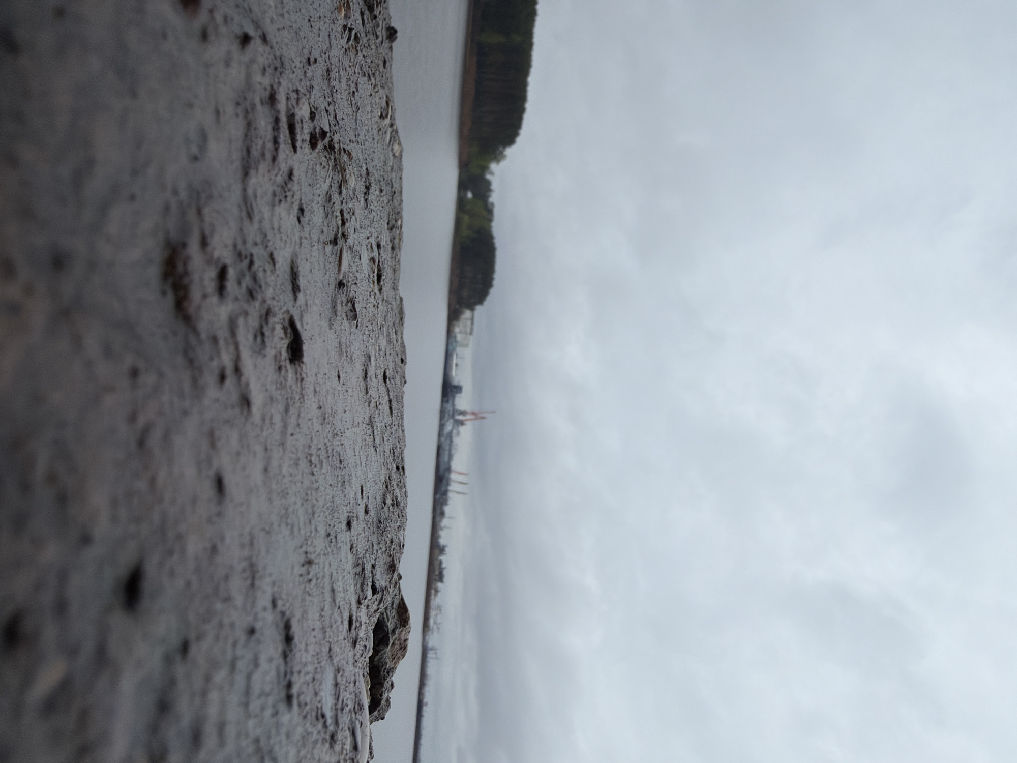The image shows a waterside scene in Chaikovsky, Russia. A concrete wall runs along the left side of the frame, its rough, wet texture filling much of the foreground. To the right of the wall is a body of water, likely a river or reservoir, stretching towards the horizon under a heavily overcast sky. A forested shoreline is visible in the mid-ground, with silhouettes of industrial cranes emerging from the distant cityscape. The light is flat and diffused, typical of a cloudy day. No people are visible.