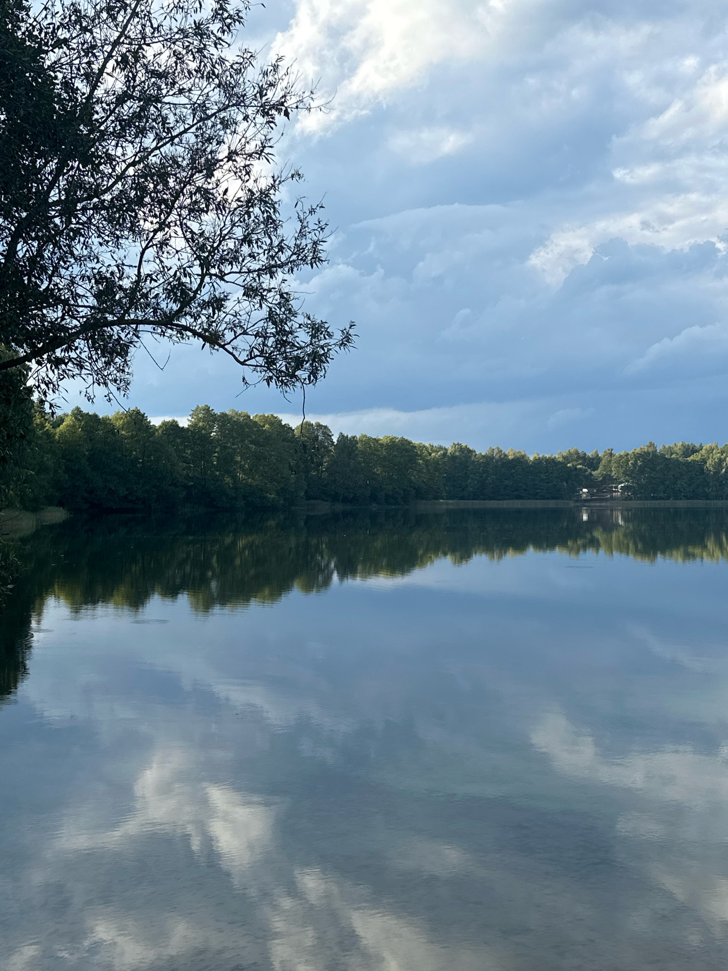 This is a vertical, eye-level, medium shot of a lake in Мядзельскі сельскі Савет, Belarus, under a partly cloudy sky. The image captures a tranquil natural scene with a dominant calm body of water that perfectly reflects the sky, trees, and some structures on the far bank.
In the foreground, the left side of the frame is partially obscured by the dark silhouette of tree branches and leaves hanging over the water. The foliage is dense and creates a stark contrast against the bright sky.
The middle ground is dominated by the expansive, still surface of the lake. The water acts as a mirror, reflecting the dramatic, partly cloudy sky with shades of blue and grey. The reflections of the clouds are soft and diffused. Also visible in the reflection is the tree line on the far bank and some small structures.
The background features a dense, continuous line of green trees that stretches across the horizon, forming a lush forest. Within this tree line, a few small, light-colored structures with roofs are visible, suggesting a human presence, possibly a small settlement or recreational area.
The sky above is a mix of light blue and darker grey clouds, indicating a dynamic weather condition. The light appears soft, suggesting it might be late afternoon or early morning. The overall mood of the image is peaceful and serene, highlighting the natural beauty of the Belarusian landscape. There are no people or animals visible in the frame.