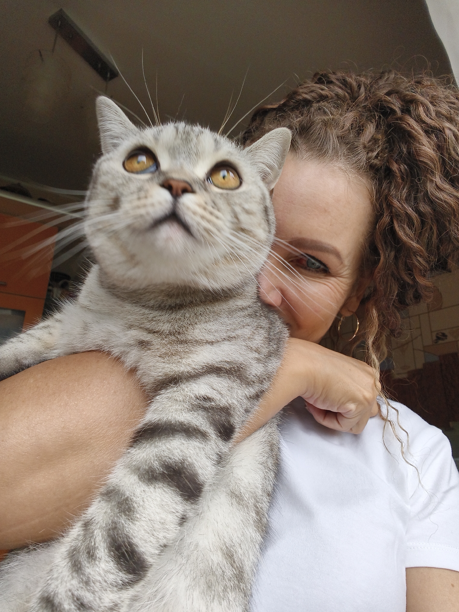 A close-up, slightly upward-angled selfie shows a woman with curly brown hair and a white t-shirt holding a grey tabby cat. The woman's face is partially obscured by the cat, but her green eyes and a hint of a smile are visible. The cat's face is prominent, with large, amber eyes looking up and to the left. Its grey fur has darker tabby markings. The background is out of focus and appears to be an indoor setting, with a glimpse of a ceiling fixture and a blurred orange object. The woman's left arm is around the cat's body.