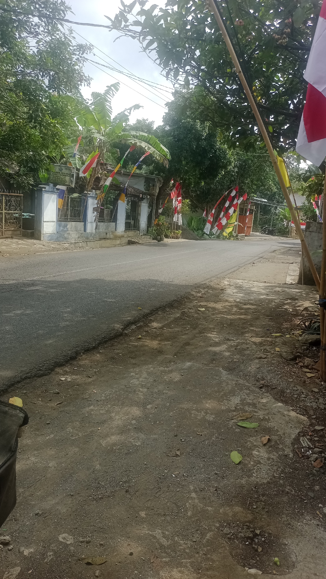 The image depicts a street scene in Cibeber, Indonesia, likely during a period of national celebration given the prominent display of Indonesian flags (red and white) along the roadside. The road, paved with asphalt, curves gently to the right, bordered by a dirt path on the right side. Lush green trees and vegetation line both sides of the street, with banana trees visible on the left.
On the left side of the road, a building with a light blue facade and white pillars is visible, adorned with several smaller flags of various colors, including red and white, yellow, and blue. A metal gate is also present in front of this building.
On the right side of the road, a wooden pole stands vertically, from which a large red and white flag is unfurled. More Indonesian flags are seen further down the road on both sides, decorating the trees and poles. A motorcycle is parked in the distance on the right side of the road.
The ground on the right side is a mixture of dirt, gravel, and some debris, with a few fallen leaves scattered about. The overall impression is a quiet, residential street decorated for a festive occasion. The sky is overcast with some visible power lines running overhead.