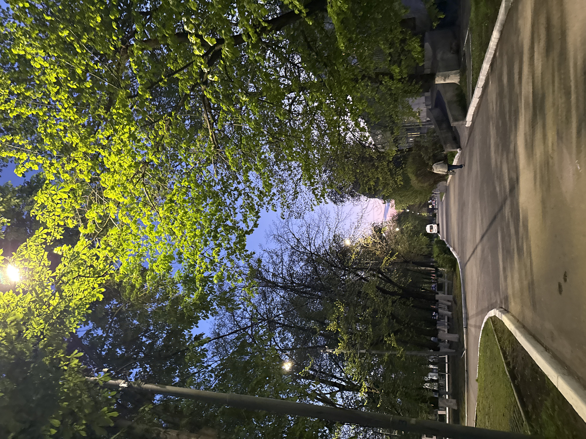 The image shows a street view, likely in a park or green area, in Rostov-on-Don, Russia. The foreground and overhead view feature trees with green foliage, illuminated by what appears to be streetlights. In the distance, the sky transitions from dusk to night. A paved walkway runs through the middle of the frame, with some concrete structures and possibly graves to the left. A person can be seen walking in the distance on the walkway. There are streetlights visible along the walkway.