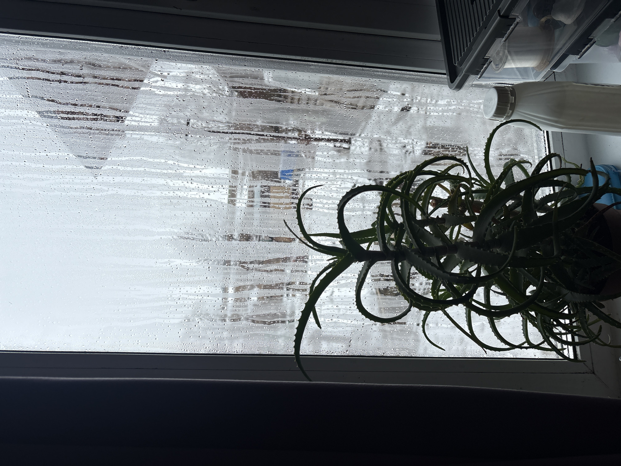 A view from inside a window reveals a rainy or snowy outdoor scene. Water droplets or ice cover the glass, obscuring the view but suggesting an external environment of precipitation. Outside, there appears to be a fenced structure or a series of buildings through the blurred view. A potted aloe plant sits on the windowsill, its green and spiky leaves contrasting with the gray and white of the exterior. A white bottle and a container are placed above the plant to the right. The location is Lukintsy, Russia.