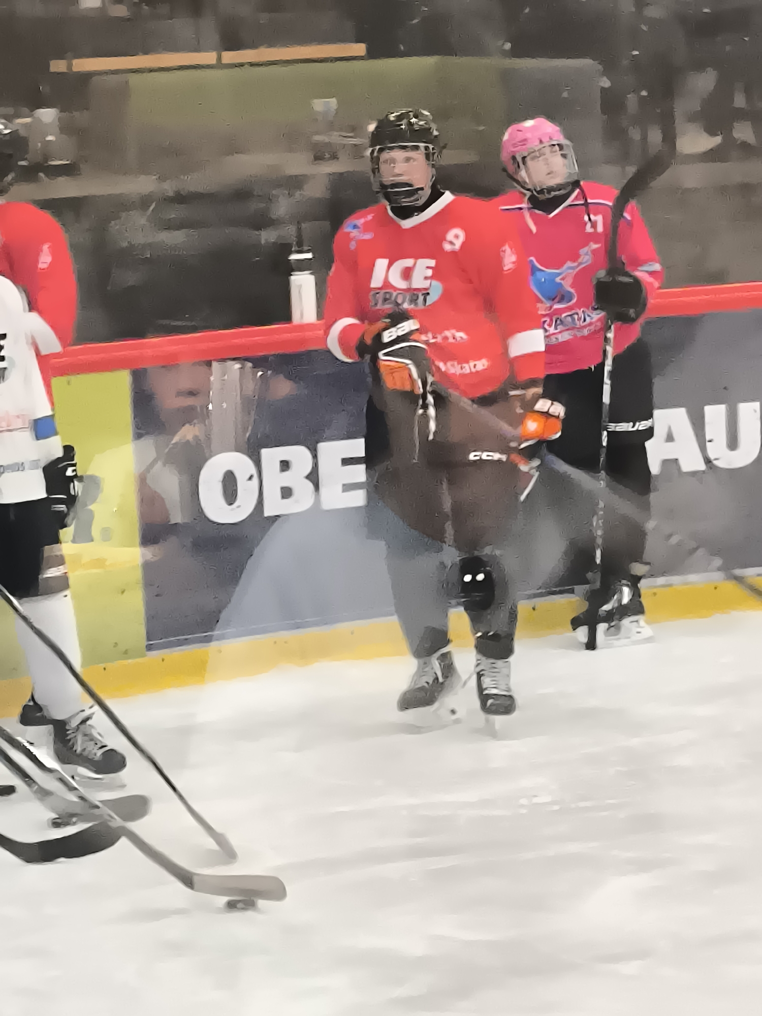 The image depicts an ice hockey scene, possibly during a game or practice, featuring several individuals in uniform on an ice rink. The primary subjects are two hockey players, one wearing a red jersey with the number 9 and "ICE SPORT" branding, and another in a pink jersey with the number 27 and a stylized blue bird logo. Both are wearing helmets with visors, protective gear including gloves and pads, and skates. They are holding hockey sticks. The background includes advertising boards with text, including "OBE" and "AU," and possibly spectators or other personnel behind the boards. The ice surface appears somewhat worn, with scuff marks visible. The lighting suggests an indoor arena. The context of Klaipėda, Lithuania, would imply this is an ice hockey facility within that city.