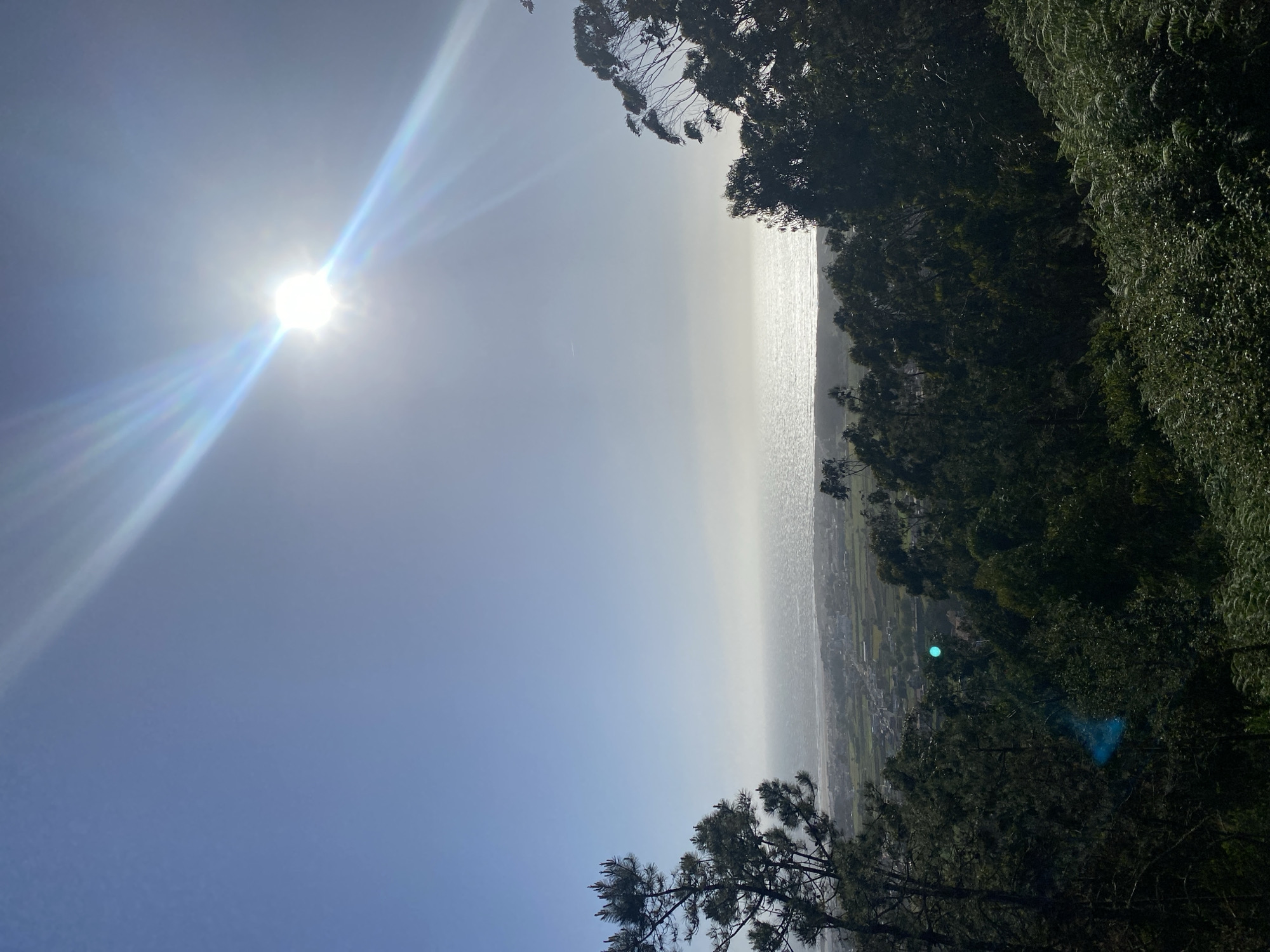 The image shows a landscape with the sun shining brightly in the sky. The scene includes foliage on either side of the frame, suggesting a vantage point from a higher location. In the distance, a body of water, possibly the Atlantic Ocean, can be seen, with land visible along the coastline, suggesting the outskirts of Esposende, Portugal. A bright lens flare is visible near the bottom right corner of the image.