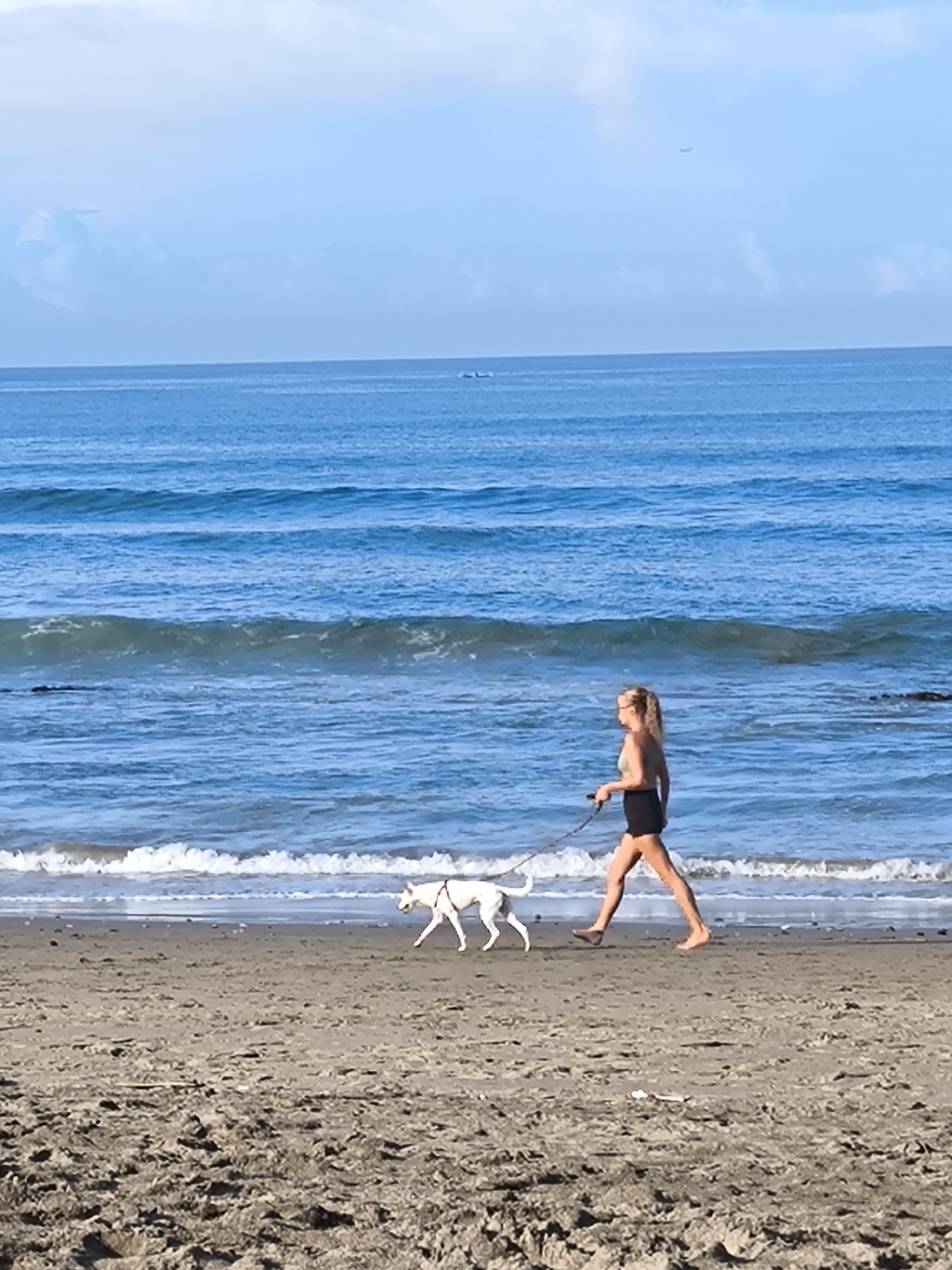 A woman walks a white dog on a beach in Canggu, Indonesia. The woman is fair-skinned with blonde hair and is wearing a black top and shorts. The dog is white and on a leash. They are walking on the wet sand near the shoreline. The ocean is in the background with small waves. The sky is clear with a few small clouds.