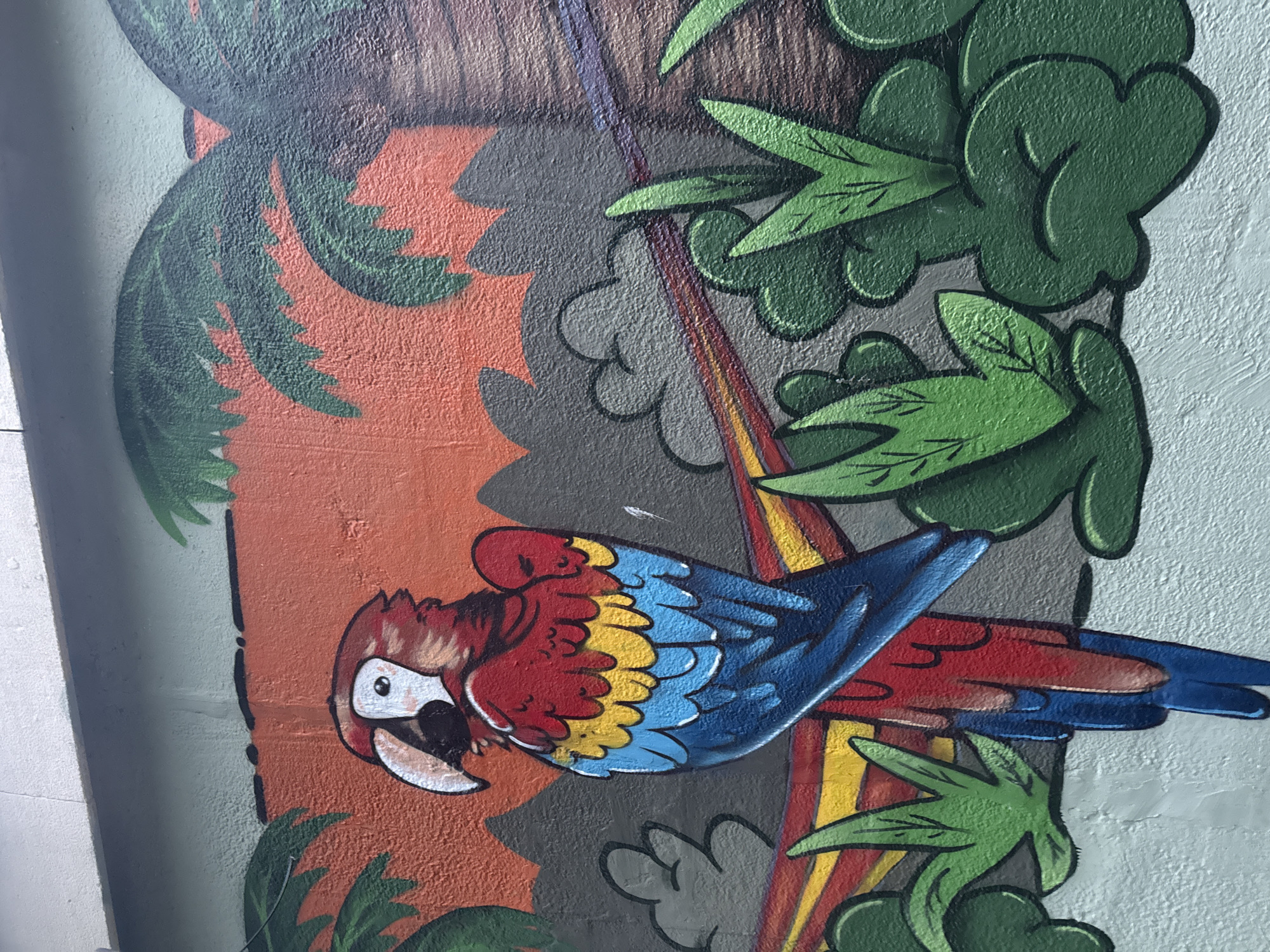 This media file captures a vibrant, cartoon-style mural painted on a textured wall, likely concrete or stucco, in Varna, Bulgaria. The central subject is a colorful parrot, depicted horizontally as if flying or perching. The parrot is predominantly red on its head and body, with bright yellow mid-wing feathers and striking blue primary wing and tail feathers. It has a white face with a black eye and an open, white beak with dark accents.
The parrot is set within a stylized tropical environment, surrounded by various shapes of green foliage with distinct black outlines. Some leaves resemble palm fronds, while others are more rounded. The background behind the parrot and foliage features blocks of warm orange-red, grey, and dark brown, with a prominent diagonal stripe resembling a rainbow, displaying shades of red, yellow, and blue. A darker, textured brown section in the upper part suggests a tree trunk.
The mural utilizes bold outlines and vivid colors, giving it a playful and energetic aesthetic. The textured surface of the wall is visible through the paint, indicating its application on a rough surface. The edges of the mural reveal parts of an unpainted, light grey concrete structure, suggesting it adorns a pillar or a section of a wall. The scene is brightly lit by natural light, implying a daytime setting. There is no visible text in the image.