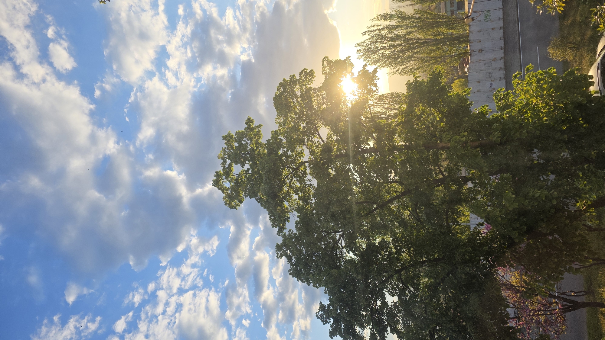 The image depicts a daytime scene of a partly cloudy sky with sunlight breaking through the clouds and trees. A tall tree is visible in the foreground, with its green leaves partially obscuring the sunlight. In the background, there appear to be other trees and what might be a building or structure. The photograph seems to be taken in an urban or suburban environment. Without a broader point of view, it is not possible to accurately pinpoint the particular location within the city of Blagoevgrad, Bulgaria. However, depending on the placement of the structure and orientation, it could be in the area around American University in Bulgaria (AUBG) or somewhere else around Blagoevgrad.