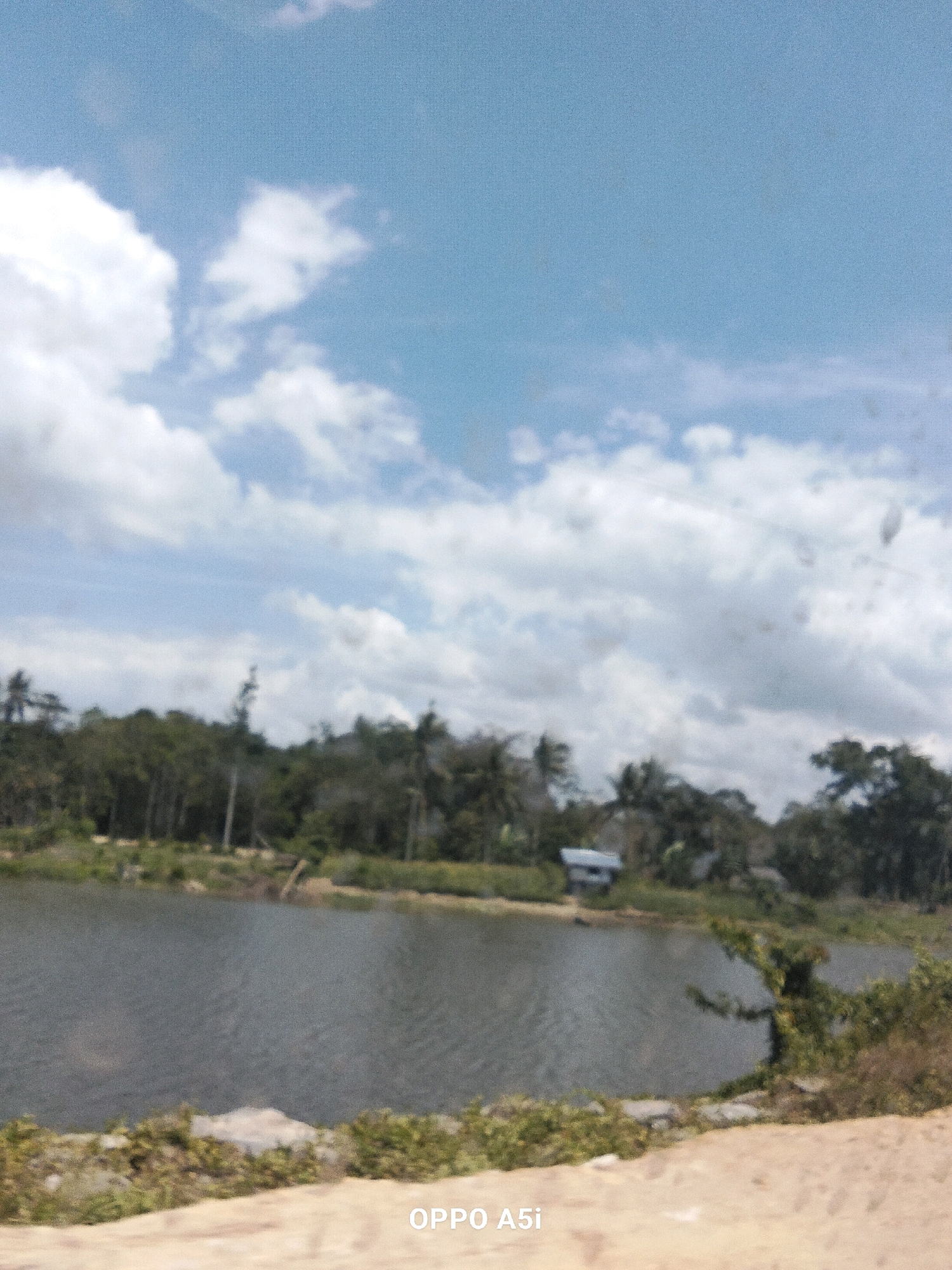 The image captures a serene waterscape and its surroundings. A calm body of dark water occupies the foreground, reflecting the light from the sky. The shore is lined with vegetation, with some rocky elements visible. In the background, a dense line of trees forms a natural barrier. A small building, possibly a house, is situated among the trees. The sky above is a bright blue, dotted with fluffy white clouds, suggesting a pleasant day. The scene evokes a sense of tranquility and natural beauty. The presence of the text "OPPO A5i" in the lower right corner indicates the device used to capture the photograph.