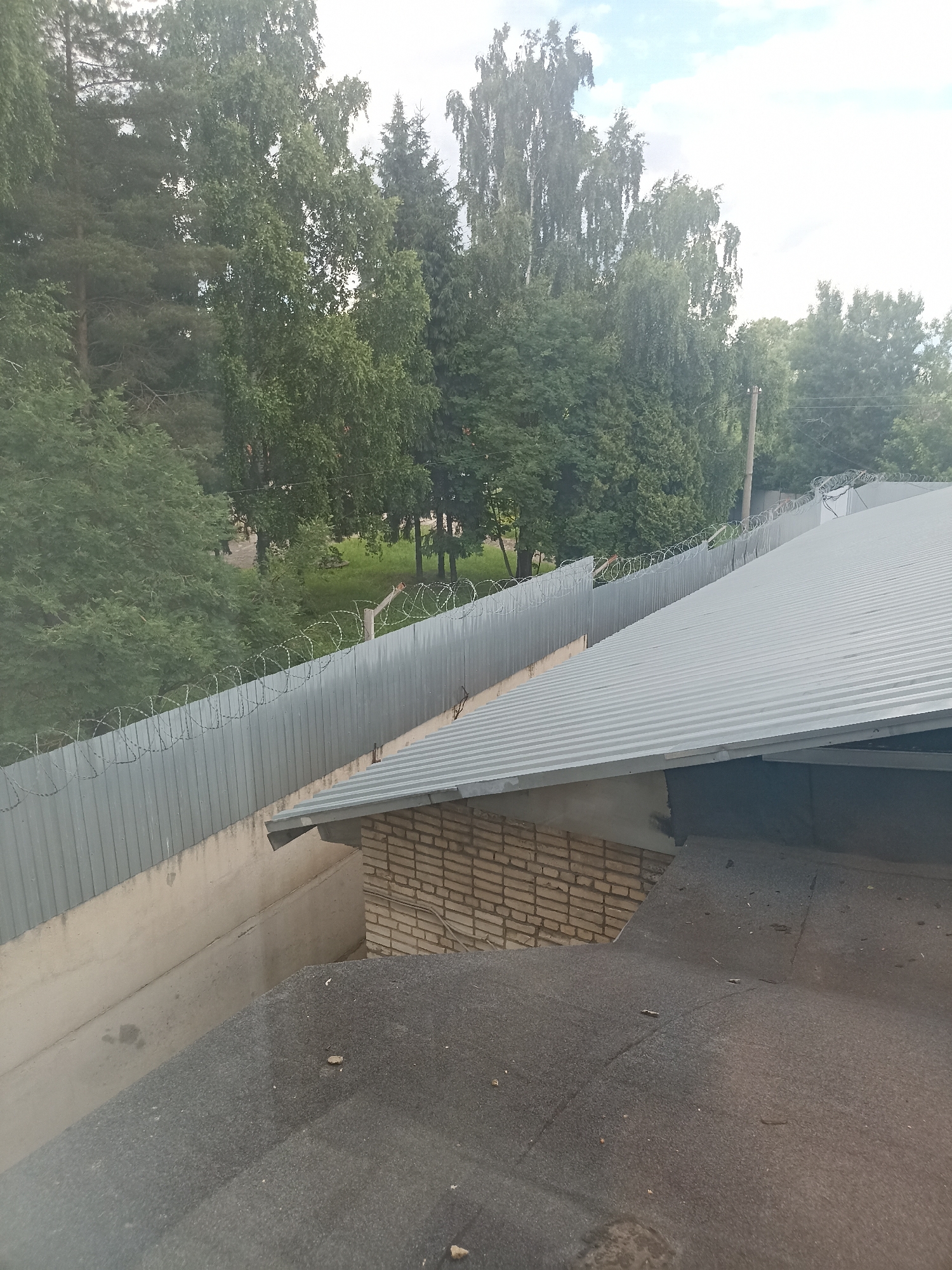The image captures an outdoor scene featuring a corrugated metal fence topped with barbed wire. Beyond the fence, a dense row of deciduous trees and evergreen trees forms a natural barrier. The foreground is dominated by the roof of a building, covered with dark, textured material. Adjacent to this roof is another building with a light-colored, corrugated metal roof. Part of a brick wall is visible on this second building. The overall environment suggests a location in a city, possibly within an industrial or secured area, given the presence of the fence and barbed wire. The sky above is partly cloudy. The specific location in the city of Leninsky, Russia, is not visually ascertainable from the image itself.