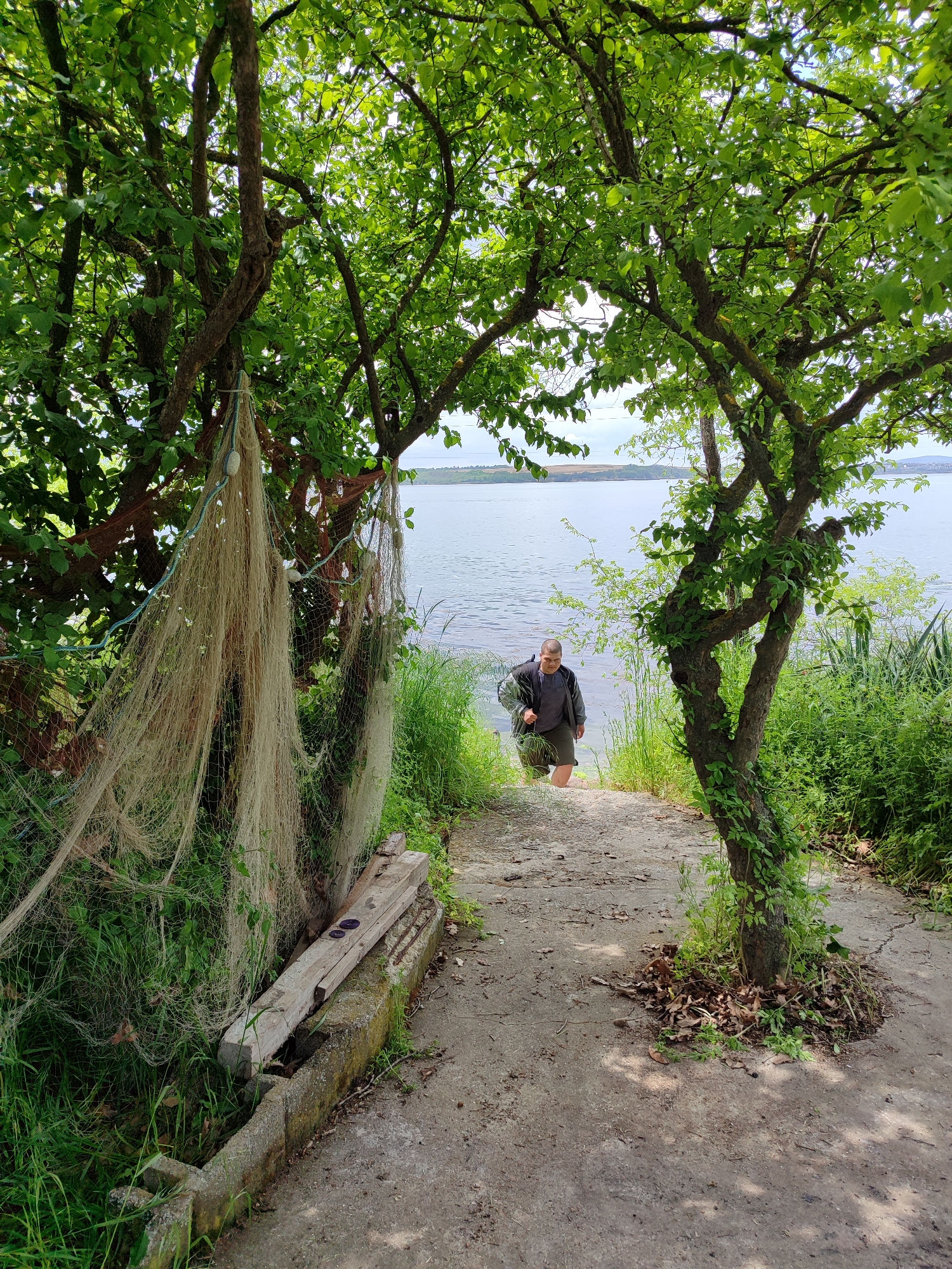A medium shot depicts a man exiting the water on a concrete walkway leading to a body of water. The location is likely in or near Burgas, Bulgaria, given the environment. The man is partially submerged in the water, facing the camera, and walking up the concrete path. He wears a dark jacket over a t-shirt and shorts, and his lower legs are wet.
Framing the path are two trees, one on either side, their branches meeting overhead to form a canopy. The tree on the left has a fishing net draped over it. Vegetation is growing alongside the walkway and the water's edge. A concrete structure and planks are visible on the left side of the path. The body of water is calm, with a distant shoreline visible in the background under a sky with scattered clouds.
