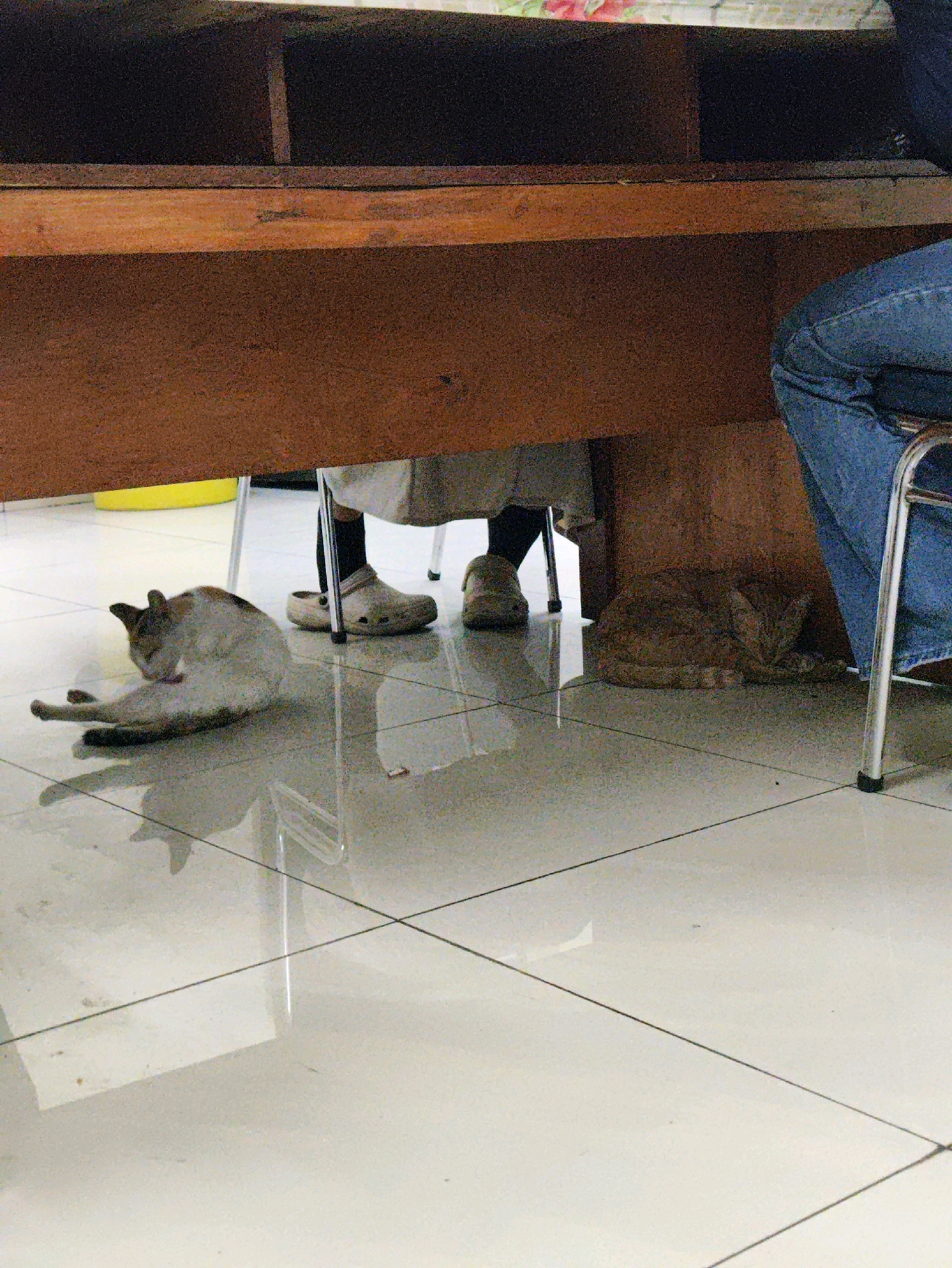 The image shows two cats and a person's legs under a wooden desk. One cat, a calico, is grooming itself on the tiled floor to the left. Another cat, an orange tabby, is curled up sleeping to the right. The person's legs are clad in blue jeans and they are wearing beige clogs. The scene appears to be indoors, possibly in an office or study room. The floor is tiled with a grid pattern, and the desk has a dark wooden finish. The lighting is dim, creating shadows on the floor. The background is out of focus and appears to be a shelf unit. The location is identified as East Jakarta, Indonesia, suggesting a domestic or professional setting in that area.