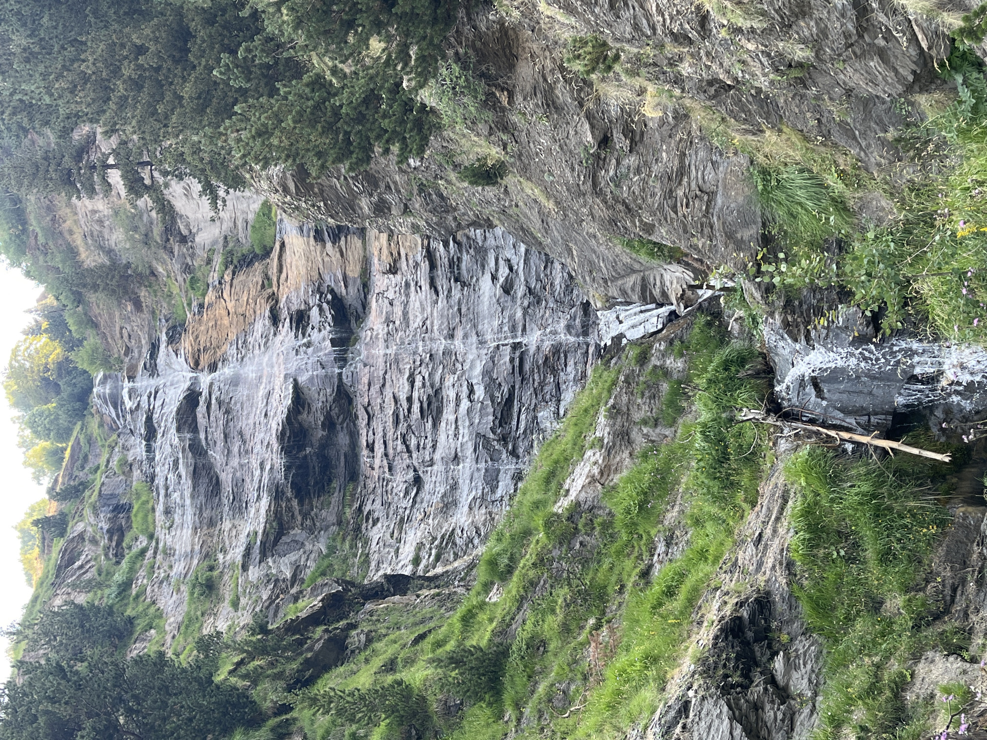 The image shows a tall, narrow waterfall cascading down a steep, rocky mountainside covered in patches of green grass and sparse trees. The rocks are layered and appear to be of a dark grey color, with some lighter, tan-colored sections visible higher up the waterfall. The water creates white streaks as it flows down the textured surface, pooling at the bottom before continuing its descent over more rocks and vegetation. The surrounding environment is a rugged, natural landscape, characteristic of a mountain region. There are pine trees visible on the slopes to the left and right of the waterfall. The lighting suggests it is daytime, with sunlight illuminating the upper portions of the scene. The image's perspective is from below, looking upwards at the waterfall and the mountain. This waterfall is located in the vicinity of Benasque, Spain, within a mountainous terrain.