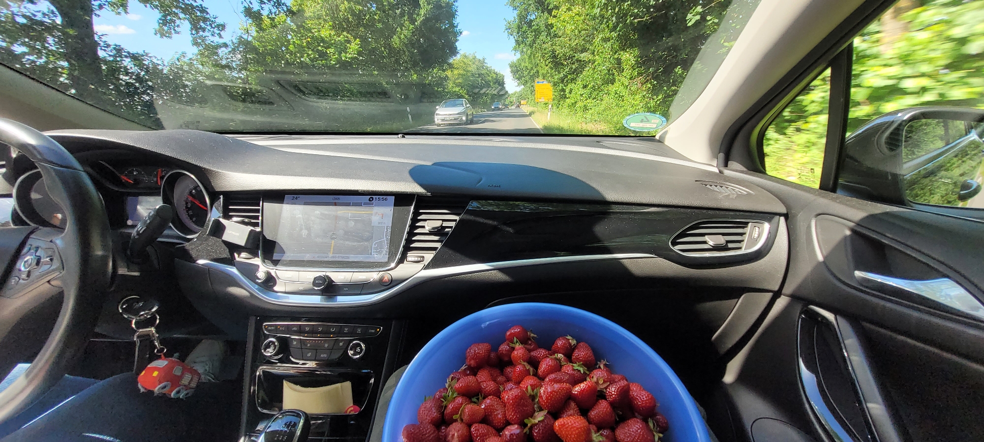 The image captures the interior of a car, specifically appearing to be an Opel Astra K, from a low perspective, likely from the passenger side, looking forward through the windshield. The car is in motion on a two-lane paved road, identified by the navigation system as "Mainhäuser Straße" in the city of Rodgau, Germany.
In the foreground, occupying the bottom right portion of the image, is a blue plastic bowl filled to the brim with numerous fresh, red strawberries, many still retaining their green caps.
The car's interior is visible, featuring a black dashboard with glossy black and silver trim accents. On the left, a portion of the black steering wheel is visible. Below the steering column, a keychain with a distinctive red, car-shaped charm (resembling "Der kleine rote Traktor") is hanging. A light-colored shoe is partially visible on the floor near the pedals.
The central console features a rectangular touchscreen infotainment system displaying a navigation map, the current time as 15:56, and an ambient temperature of 24°C. Below the screen are various physical buttons for climate control and infotainment functions. An automatic gear selector, displaying "P R N D" (likely in "D" for Drive given the car's motion), is visible further down. Air vents are present on both the driver and passenger sides of the dashboard. A device, possibly a phone holder or charger, is mounted near the driver's side air vent. On the far right, the passenger door panel is visible with a chrome handle. A green German environmental sticker (Umweltplakette) is affixed to the lower right side of the windshield.
Through the windshield, a bright, sunny day is depicted with a clear blue sky and some white clouds. The road is flanked by dense green trees, suggesting a rural or semi-rural environment. Several cars are visible in the distance, traveling in the opposite direction, with a silver sedan being the closest. A yellow rectangular sign, possibly an informational or advertisement board, is discernible on the right side of the road further down. The background exhibits motion blur, confirming the vehicle is actively moving.