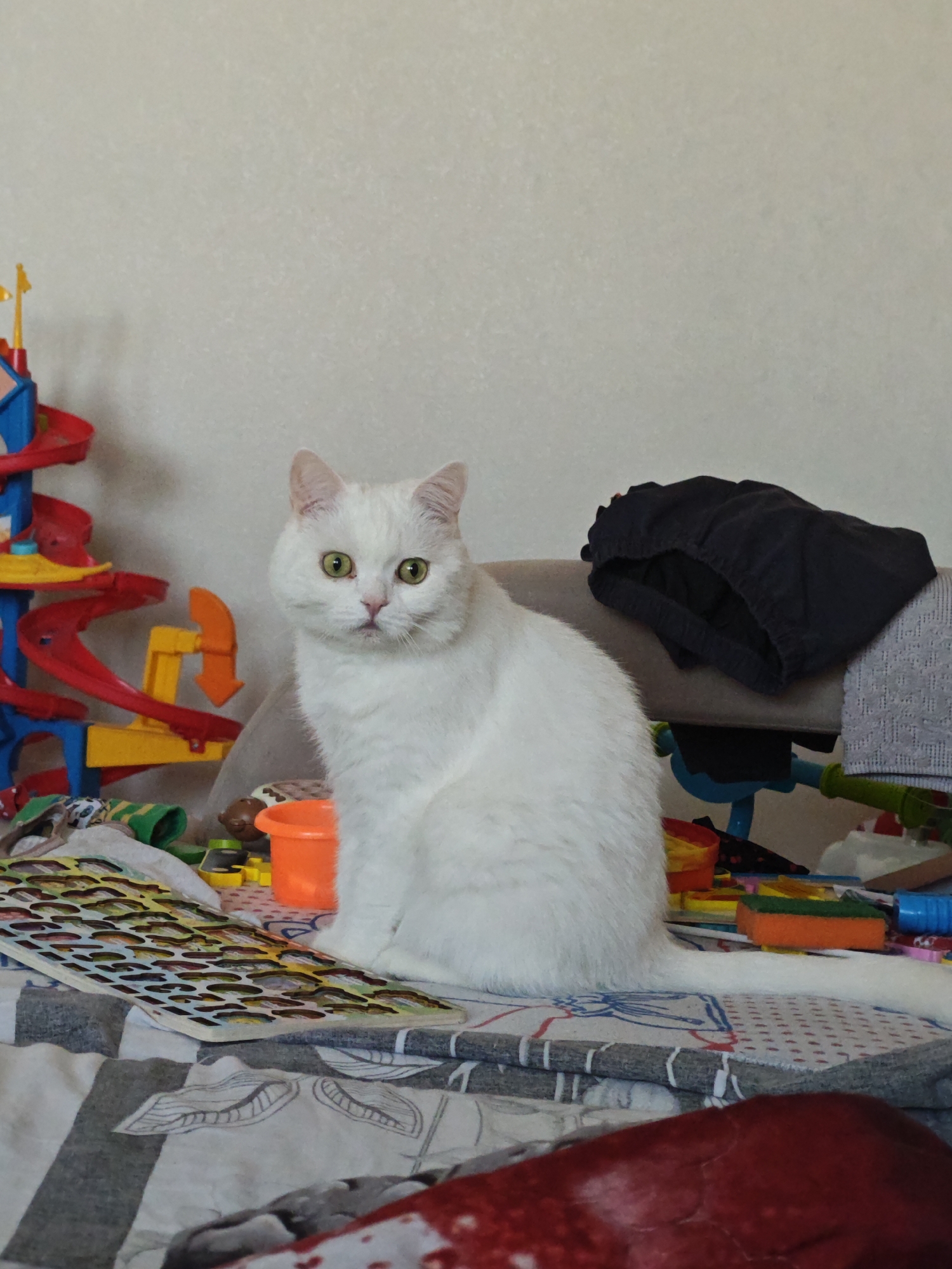 The image depicts a white cat sitting on a bed covered with various objects, seemingly toys and clothing. To the left of the cat is a toy track set in red, yellow, and blue colors. Next to the cat and toy track is an orange toy bucket. Behind the cat is a pile of clothes including black pair of underwear. The bed has a patterned gray and white blanket with a red item visible at the lower edge of the frame. The background is a plain white wall. The photo was taken in a room filled with clutter.