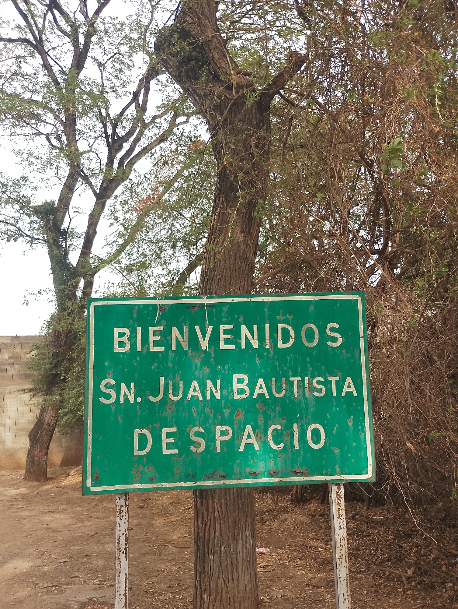 The image features a green sign that reads "BIENVENIDOS SN. JUAN BAUTISTA DESPACIO." The sign is aged and slightly rusted, mounted on metal posts. A tree trunk is positioned directly behind the sign, partially obscuring it. Other trees with dense foliage are visible in the background. The ground appears to be dirt and debris. Based on the sign's text, the location is likely in or near the city of San Juan Bautista, Venezuela.