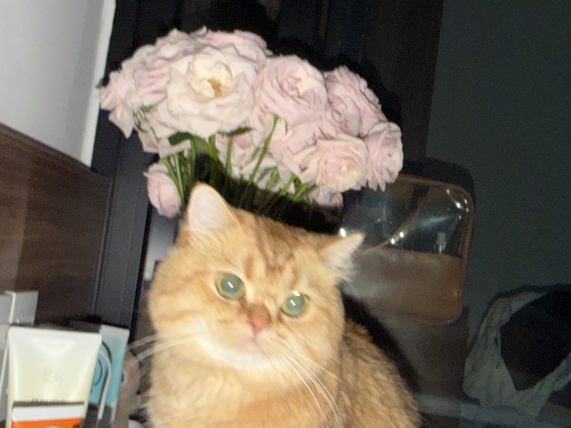 This is a medium-close-up, indoor shot of an orange tabby cat with wide, green eyes. The cat is positioned in the foreground, looking directly at the camera with a slightly open mouth and a pink nose. Behind the cat, a bouquet of pale pink roses is visible. The background is dark and blurred, with hints of shelves and what appear to be cosmetic products on the left. The scene is likely in an apartment or house. There is no indication of Đà Nẵng, Vietnam in the image.