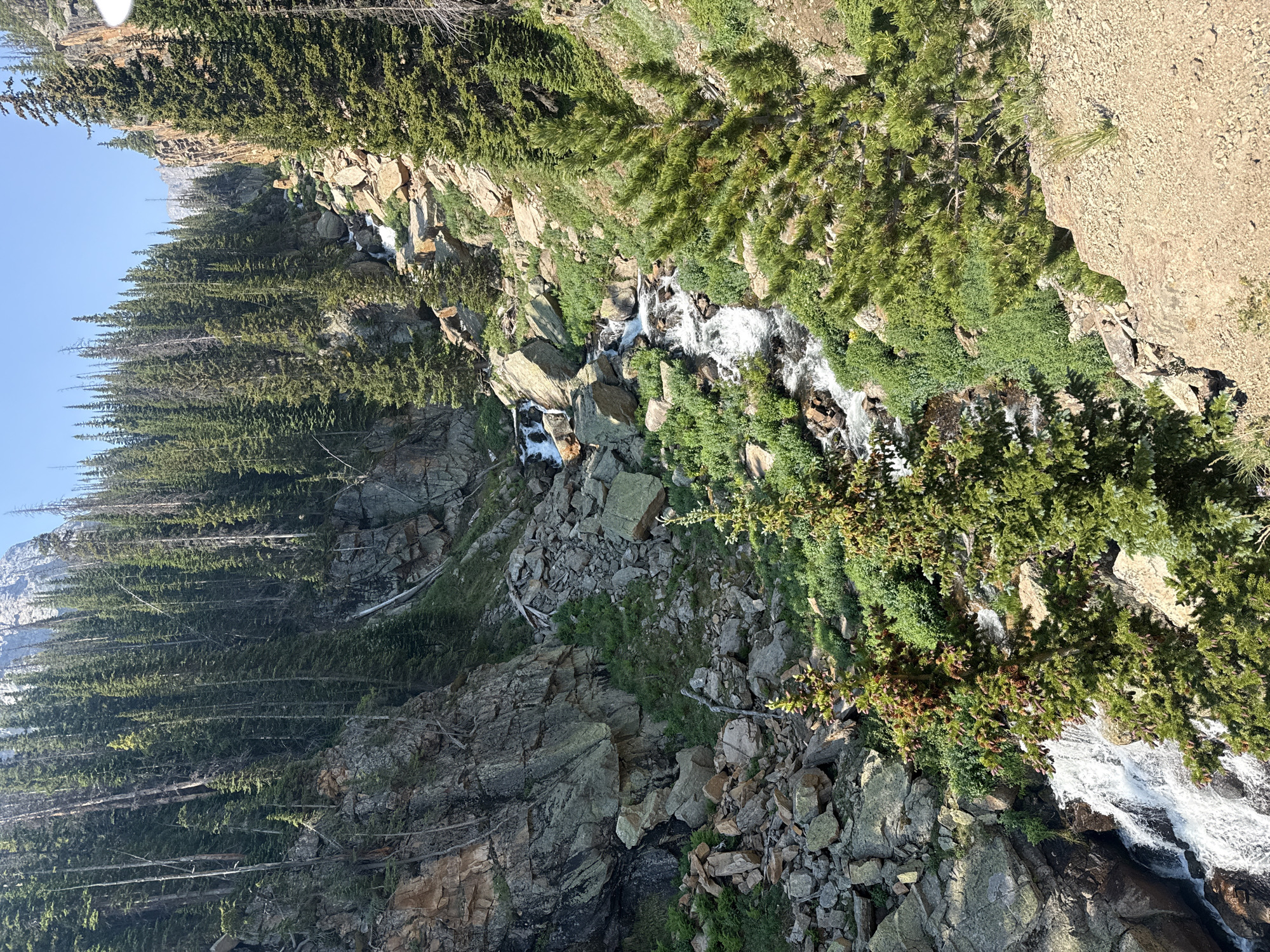 The image depicts a rugged, mountainous landscape with a narrow, rocky gorge through which a stream cascades. Tall, coniferous trees densely populate the slopes on either side of the gorge. The stream flows over numerous rocks and boulders, creating small waterfalls and rapids. The terrain is steep and uneven, with large rock formations and scree slopes. The sky is clear and blue, suggesting a sunny day. The scene appears to be in a natural, undeveloped area, likely within a national park or wilderness area. While the specific location in Allenspark, United States is mentioned, the visual content does not provide any specific landmarks or indicators to confirm this. There are no people or animals visible in the image.