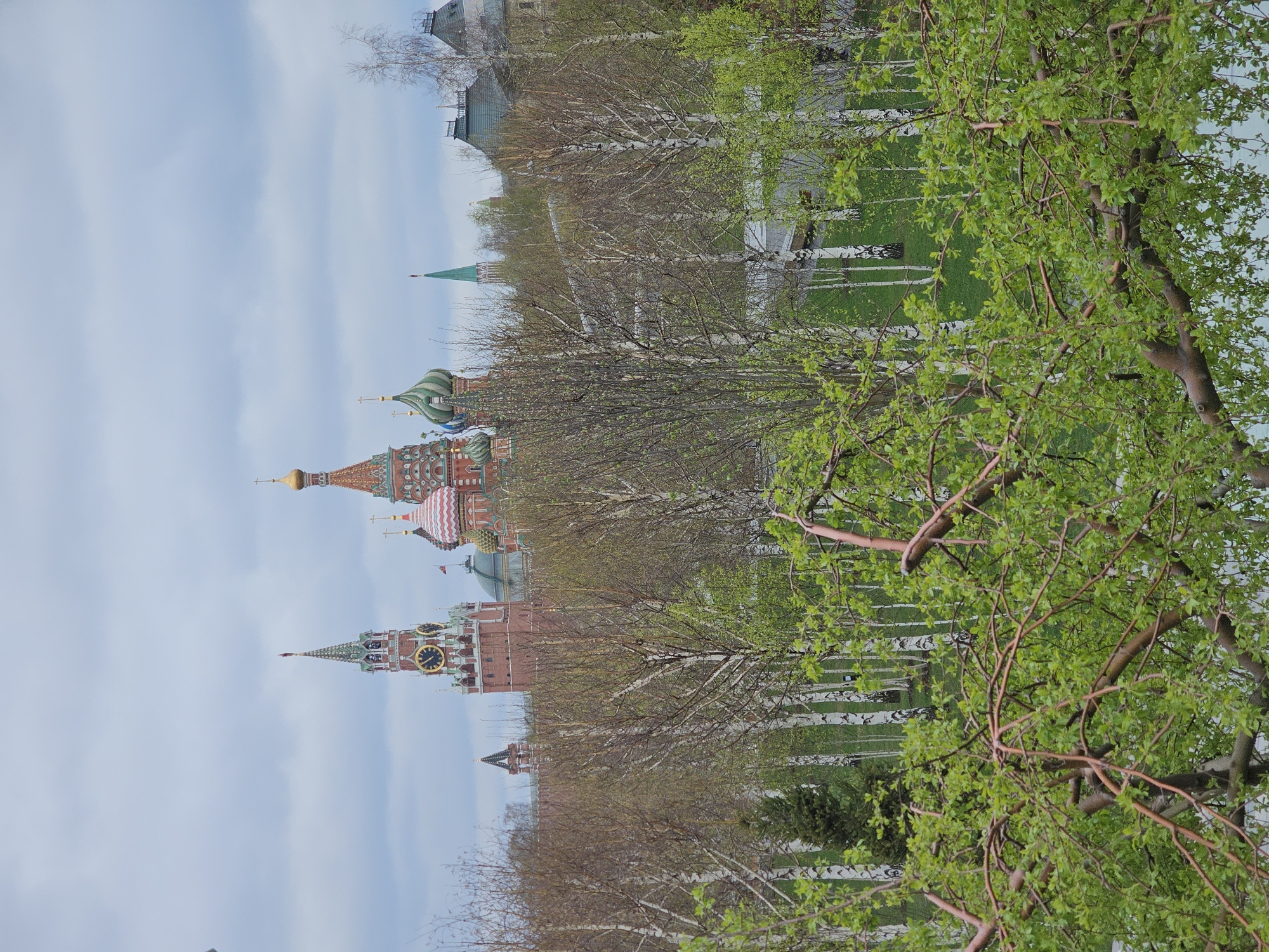 The image shows a view of the Moscow Kremlin, located in the city of Moscow, Russia. The Kremlin's red brick walls and several of its iconic towers and cathedrals with their distinctive domes are visible. In the foreground, there are trees with green foliage, partially obscuring the view of the Kremlin. Some of the trees are birch trees. The sky is cloudy. The orientation of the image is rotated 90 degrees clockwise.