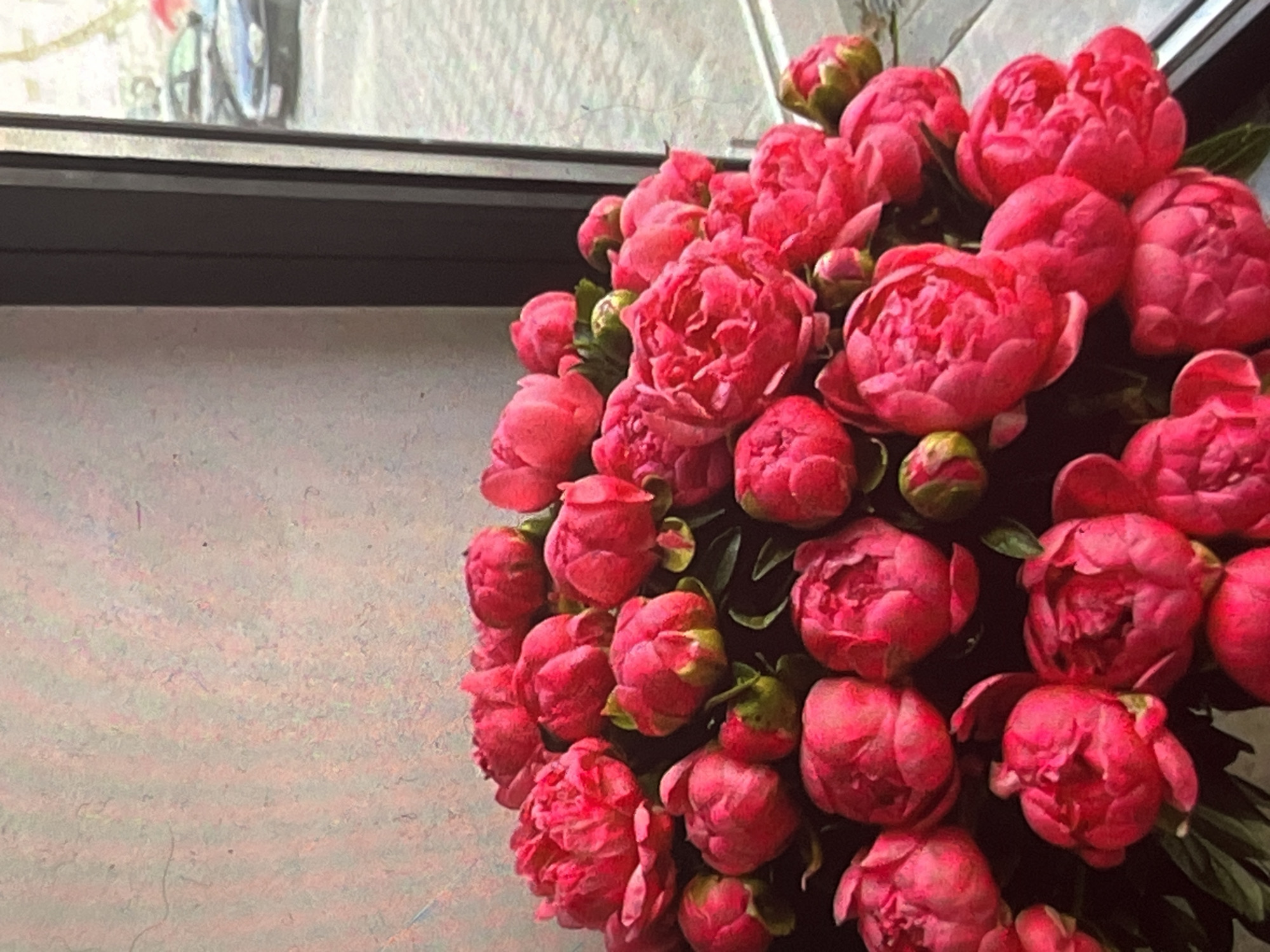 A bouquet of vibrant pink peonies is positioned on a windowsill, with a window to the right revealing a blurred view of a city street. The peonies are densely packed, with some buds still closed and others in various stages of bloom. The background wall is textured and appears to be a light, muted color. Outside the window, cars are visible on a street paved with cobblestones, suggesting an urban environment. The overall lighting suggests it is daytime. There are no people or animals in the image. The scene is static and focused on the flowers. The presence of a window and what appears to be a street outside implies the location is indoors, likely a residence or establishment.