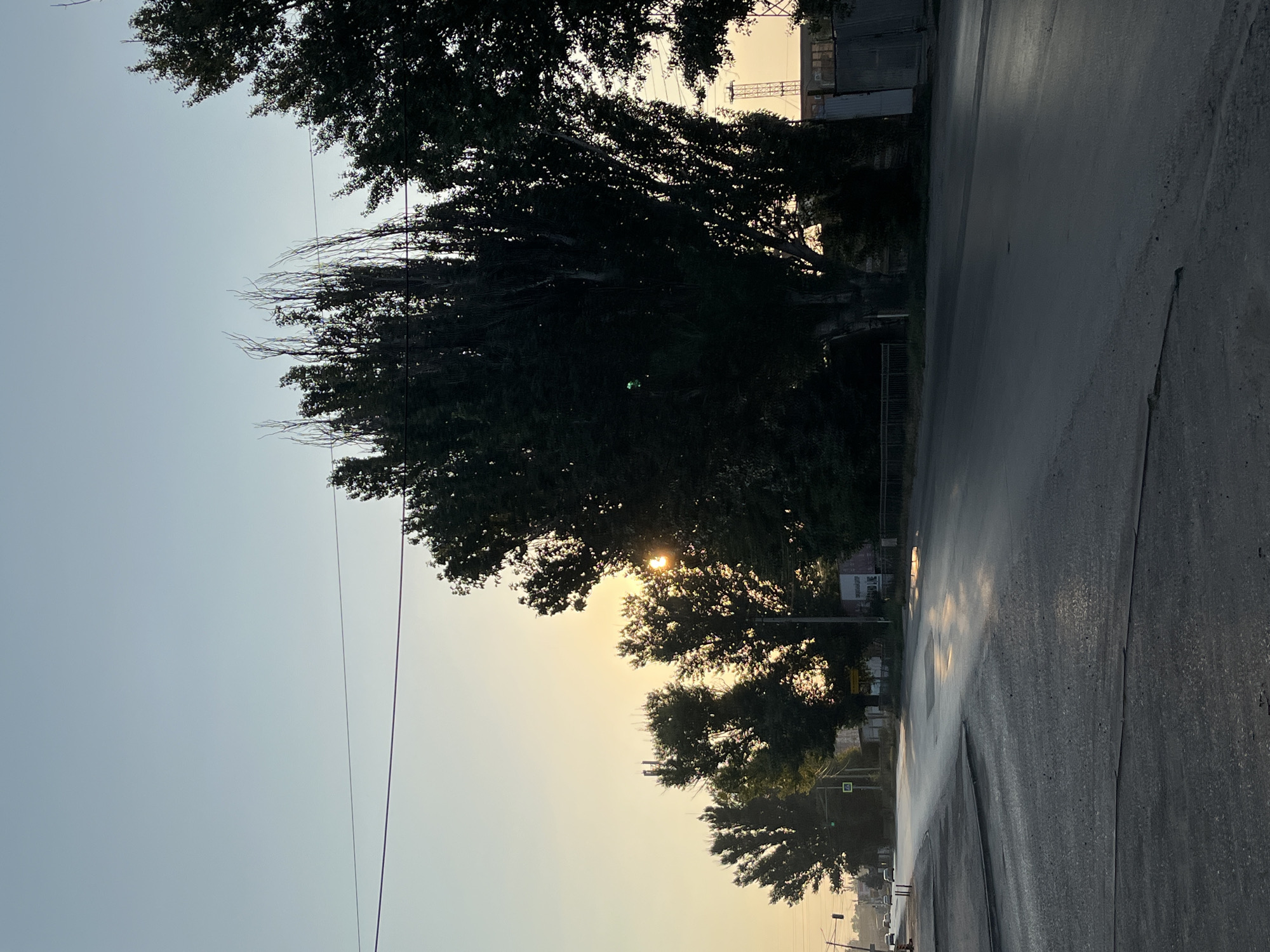 This is a photograph taken from a street-level perspective, likely during sunrise or sunset, given the warm, low-angle light. The scene depicts a street in Taganrog City District, Russia, bordered by tall, dark green trees on the left and right sides. The street itself is paved and appears wet, reflecting the soft glow of the sky. In the background, there are some buildings and utility poles visible. The sky is a clear, pale blue, transitioning to a warmer yellow hue near the horizon where the sun is partially obscured by the trees. There are no people or vehicles immediately visible in the foreground, though distant cars can be seen on the street. The overall atmosphere is serene and quiet.