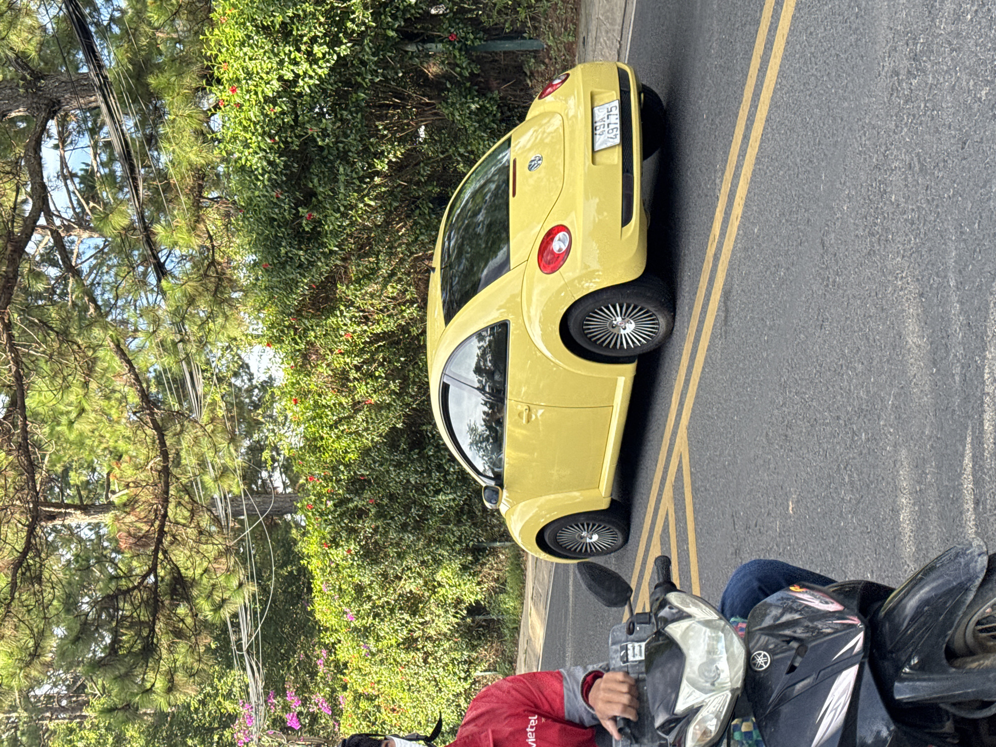 The image shows a street scene in Lâm Viên - Đà Lạt, Vietnam. In the foreground, a person wearing a red jacket and a mask is partially visible, sitting on a black motorcycle. The motorcycle's headlight and handlebars are prominent. Behind the motorcycle, a yellow Volkswagen Beetle car is driving on the road. The car has a license plate that reads "49A 497.75". The road is paved and marked with double yellow lines. In the background, there is lush green foliage, including trees with pine needles and bushes with red and pink flowers, indicative of the region's vegetation. Power lines are visible strung between poles above the trees. The overall scene suggests a bright, possibly sunny day in a city with a natural environment.