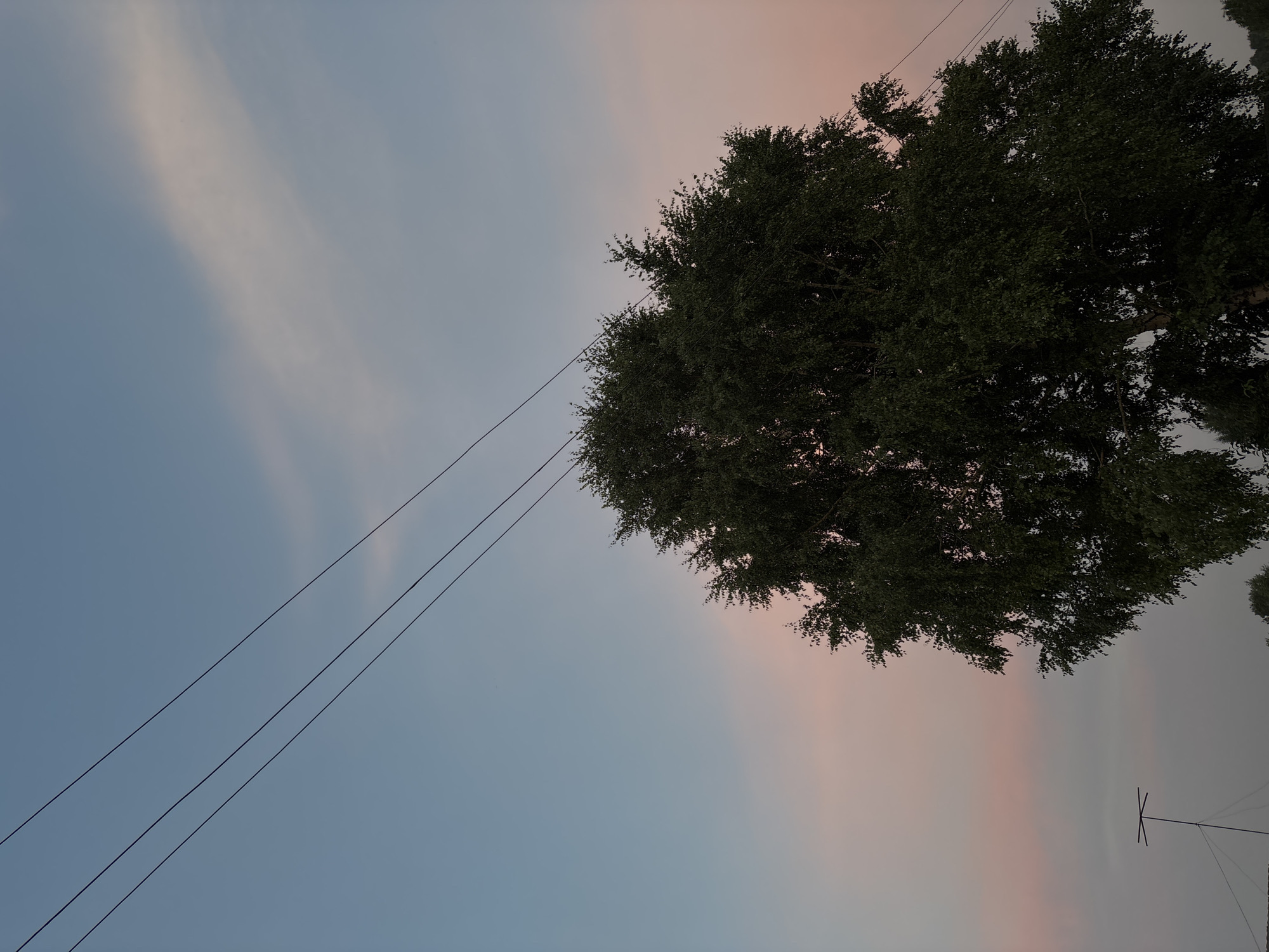 The image depicts a sky with wispy clouds, tinged with pale pink and blue hues, suggesting either sunrise or sunset. Three dark, parallel power lines stretch diagonally across the frame from the lower left to the upper right. To the right of the power lines, a large, leafy tree dominates the upper portion of the image, its dark green foliage contrasting with the lighter sky. Further to the right and lower down, a thin antenna on a pole is visible against the sky. The overall impression is one of a peaceful, natural setting, possibly rural, given the presence of the tree and antenna, and the absence of urban structures. The time of day is clearly indicated by the atmospheric colors of the sky. No people are visible in the image, and there is no visible text.