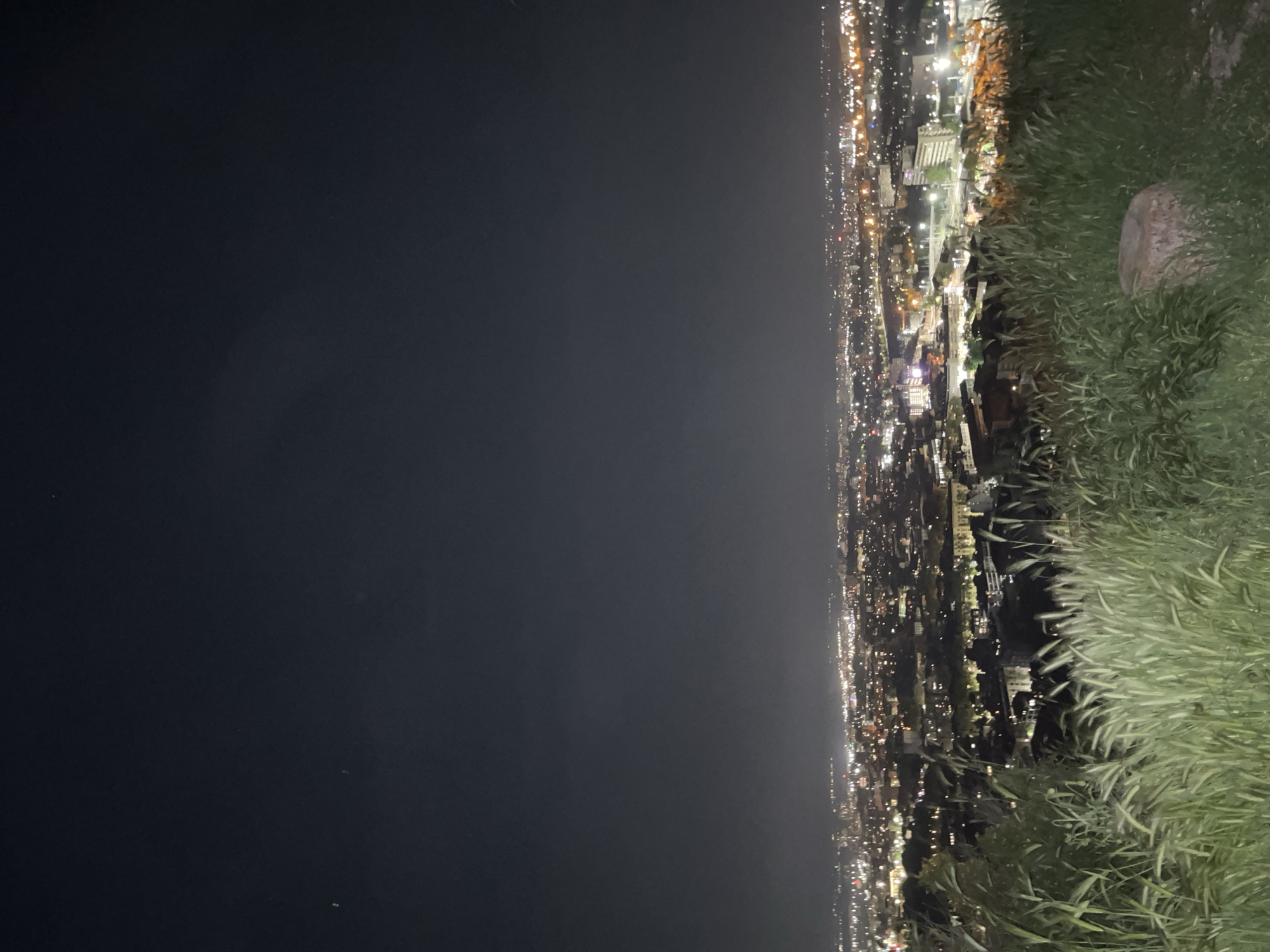 A dark cityscape is viewed from a high vantage point with tall green grass on the right. The city is on the right. The lighting suggests it is night. The left side of the image is a body of water or unlit land. A rock is visible in the grass. The city could be Plovdiv, Bulgaria.