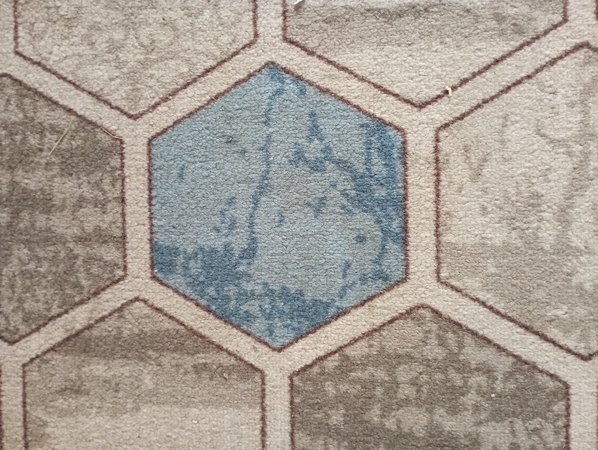 The image is a close-up, high-angle shot of a rug with a geometric hexagonal pattern. The hexagons are outlined with a thin reddish-brown line and filled with alternating colors of light beige and a muted blue with darker blue marbling. The rug's texture is visibly plush and slightly worn, with some small fibers or debris visible on its surface. There are no people or any discernible objects beyond the rug itself. The lighting appears to be even, suggesting an indoor setting, possibly illuminated by artificial light or diffused natural light. The scene is static and provides no information about time of day, weather, or specific emotions. There is no visible text in the image. The location context of Bishkek City, Kyrgyzstan, does not provide any specific visual cues within the image itself.